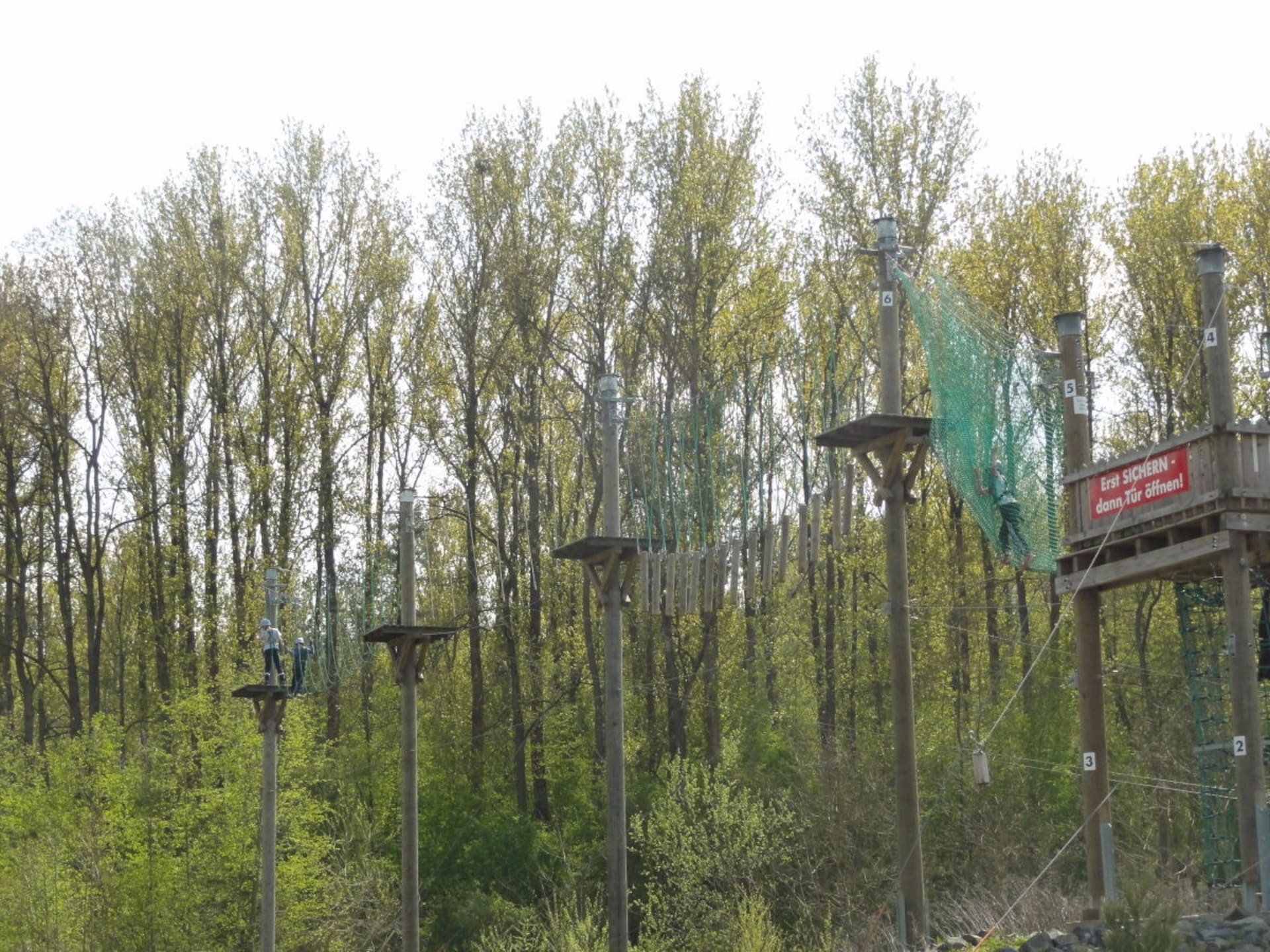 74137 - foto 13