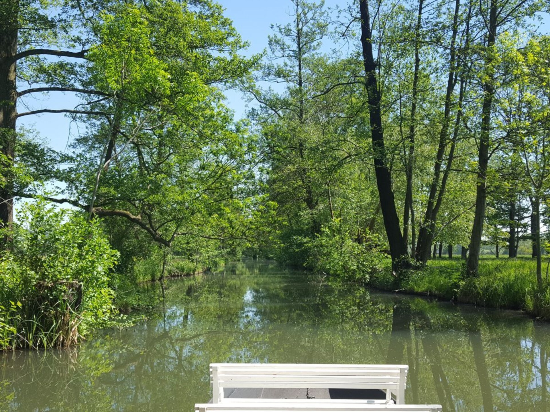 181731 - foto 17