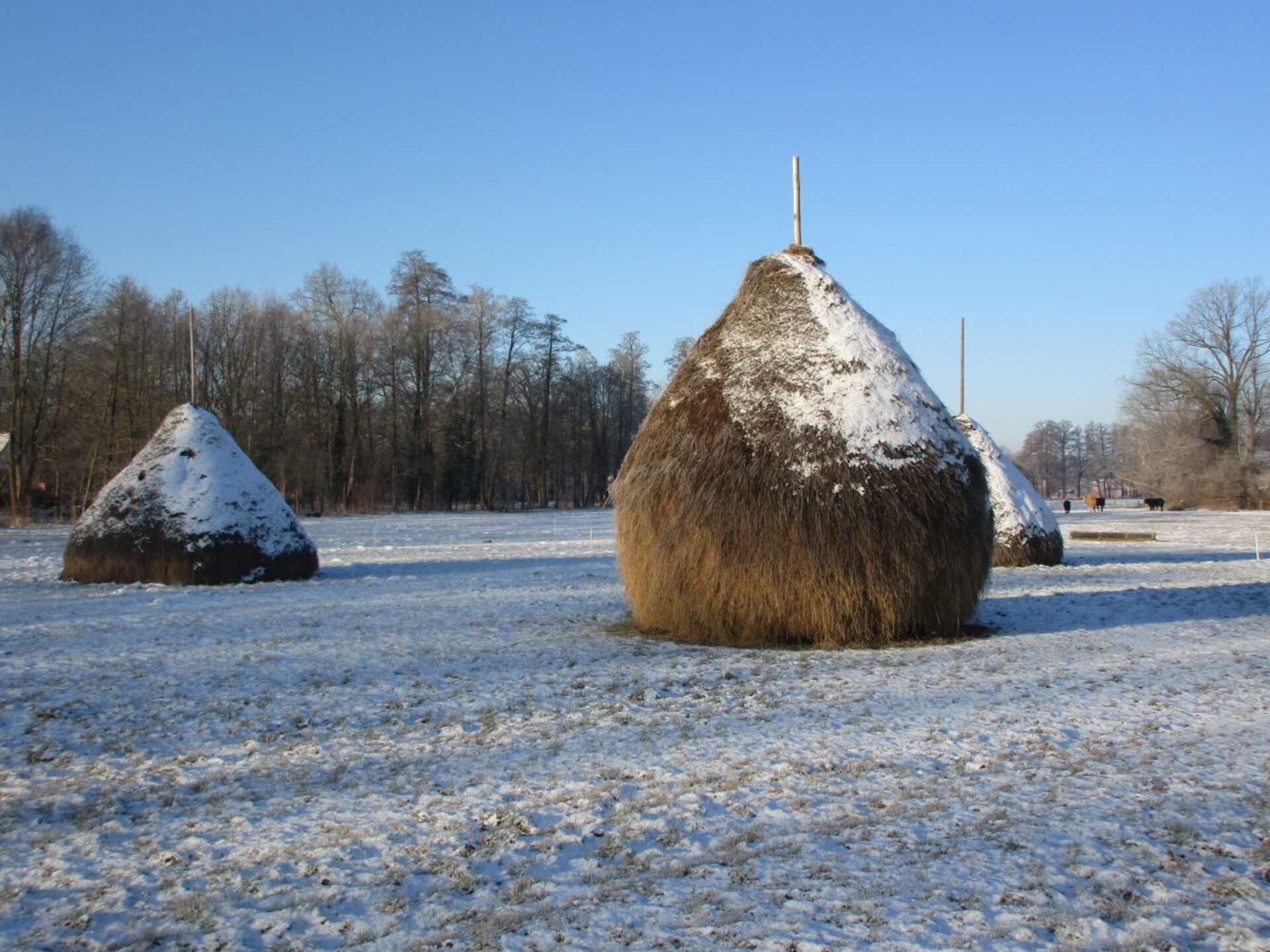 181731 - foto 19