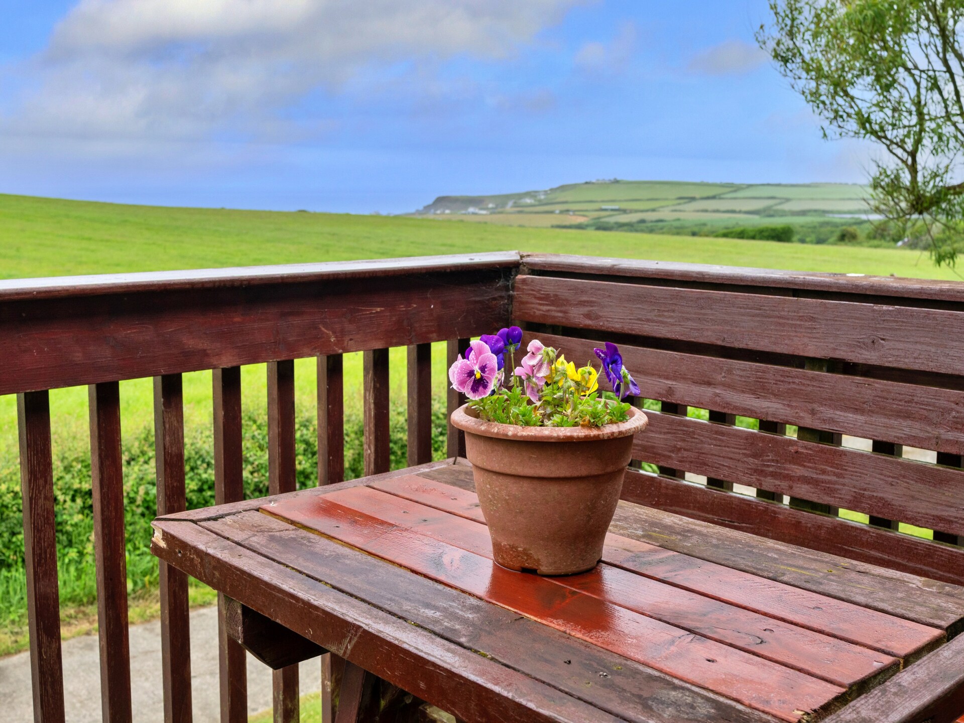 Squire, Quinceborough Farm - foto 19