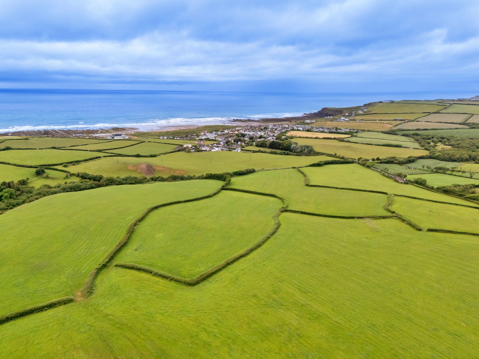 Squire, Quinceborough Farm - foto 22