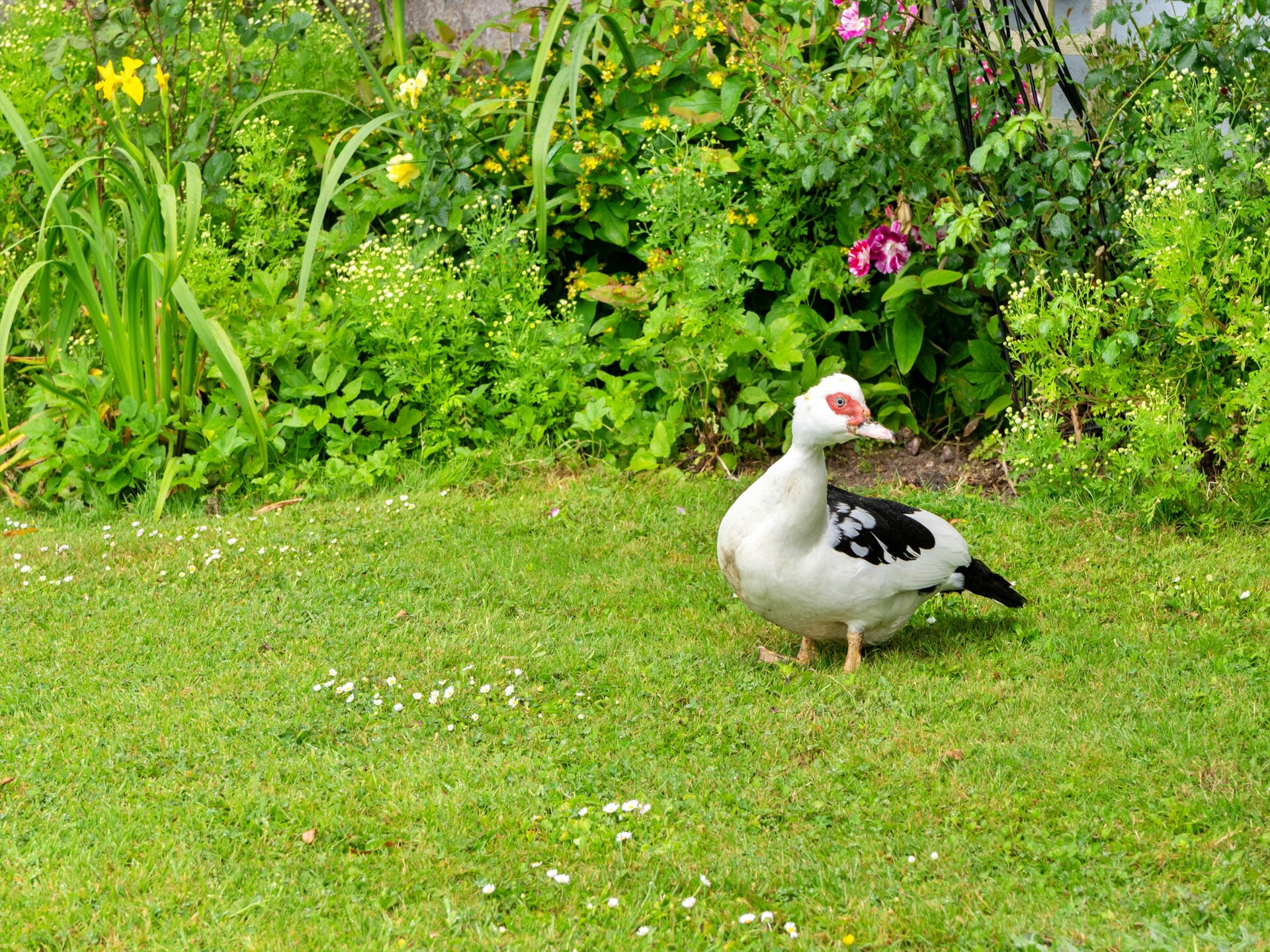 Squire, Quinceborough Farm - foto 21