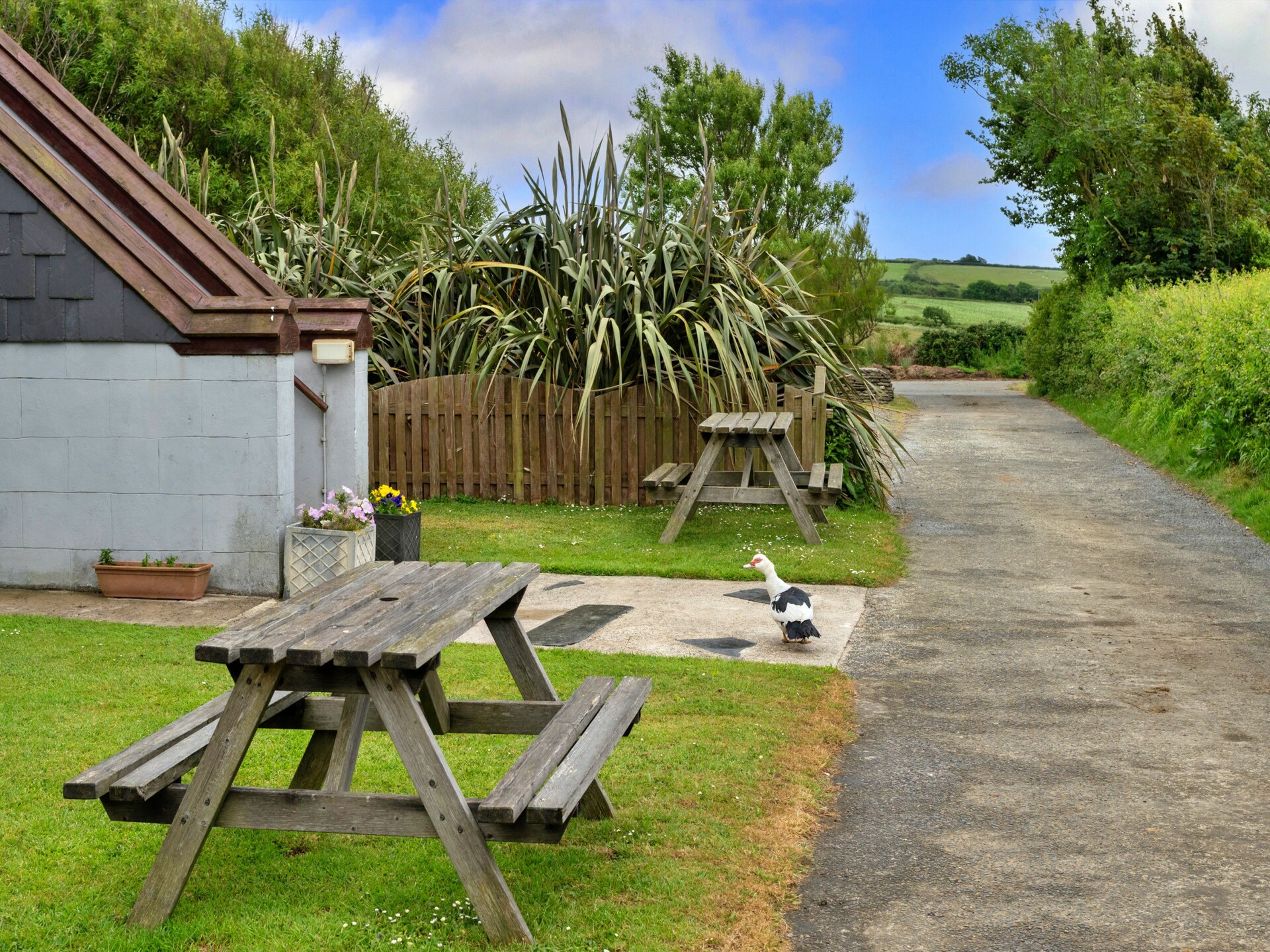 Squire, Quinceborough Farm - foto 5
