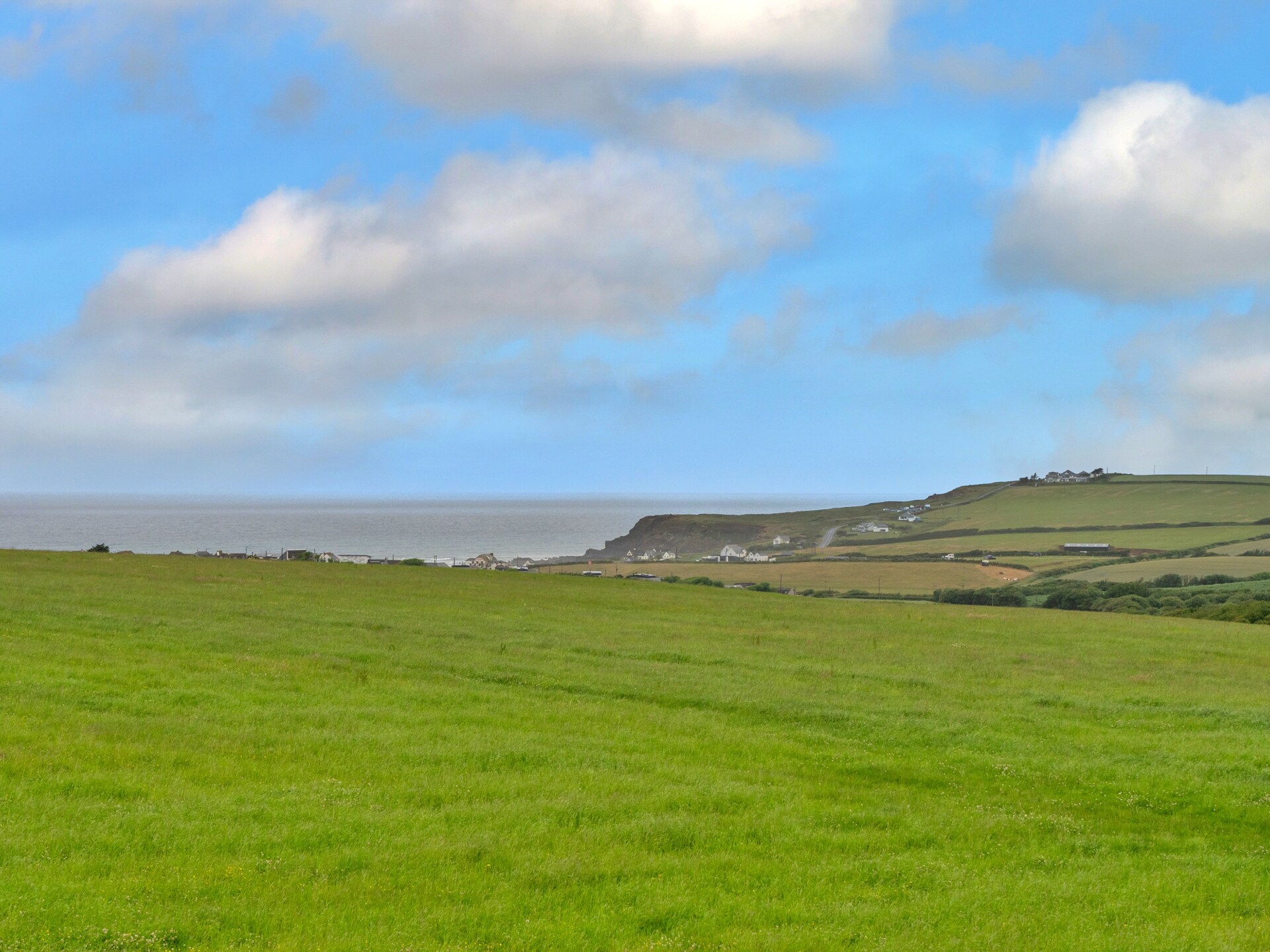 Squire, Quinceborough Farm - foto 24
