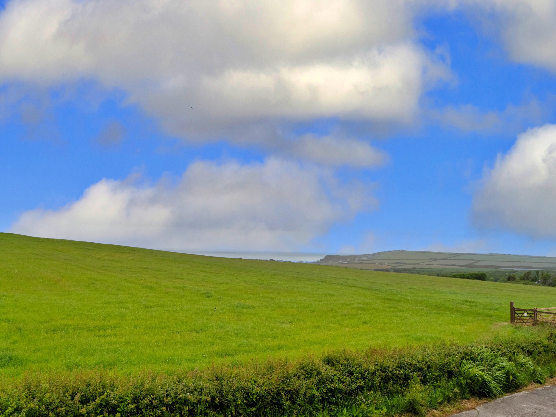Mucklow, Quinceborough Farm - foto 18