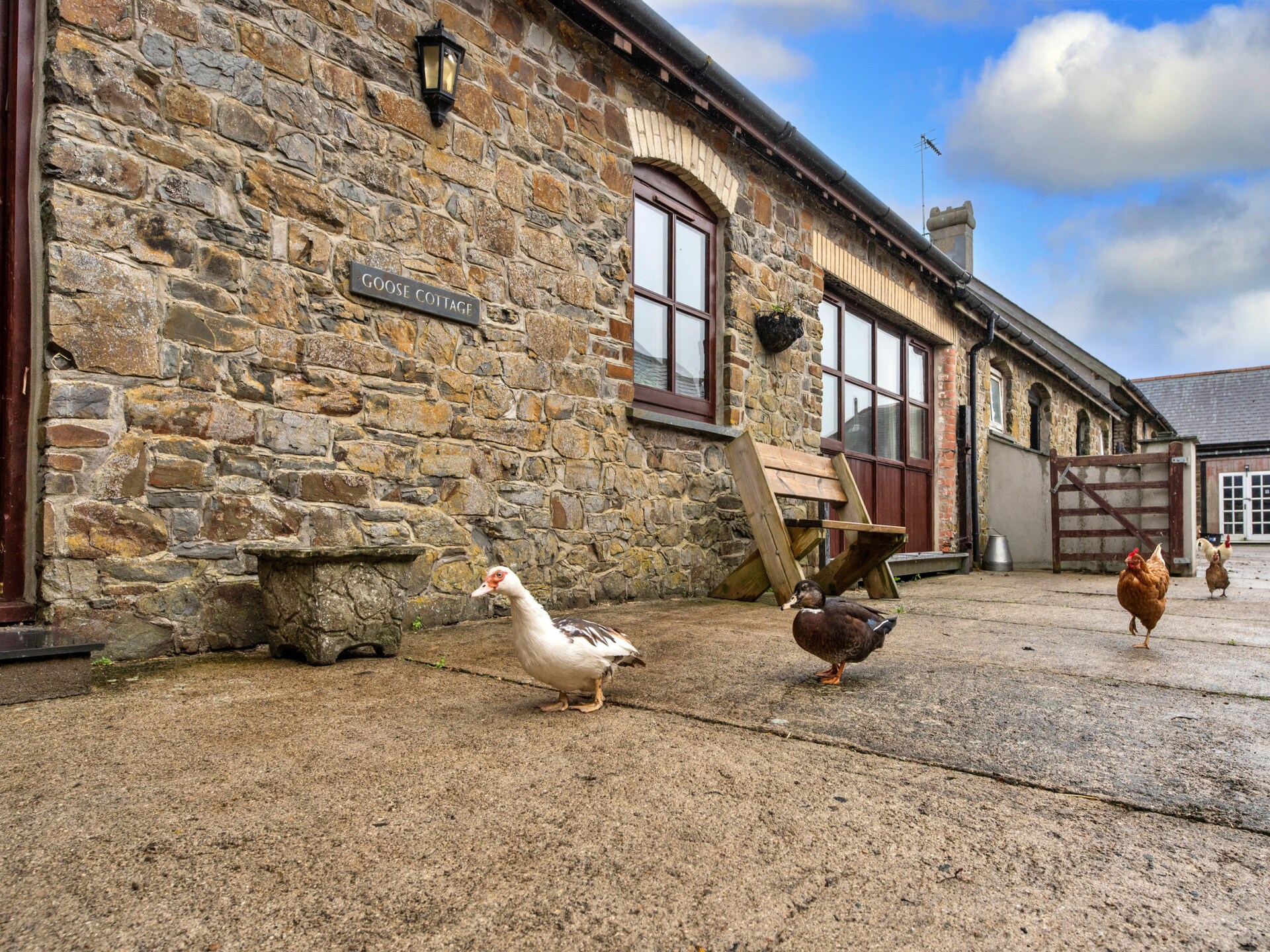 Goose, Quinceborough Farm - foto 23