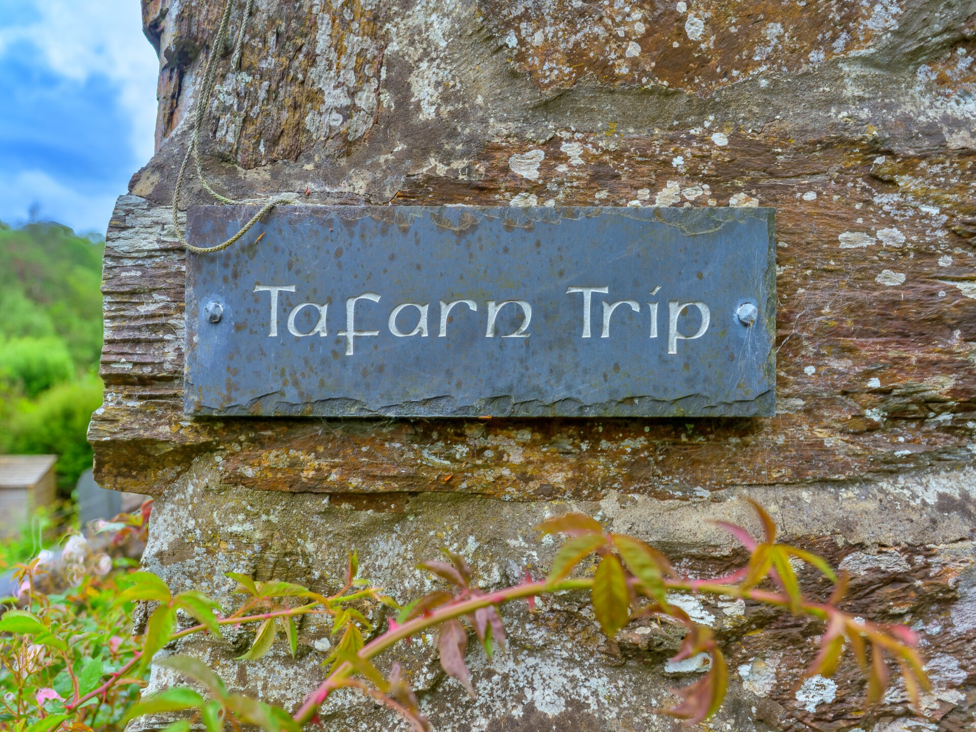 Tafarn Trip - foto 28