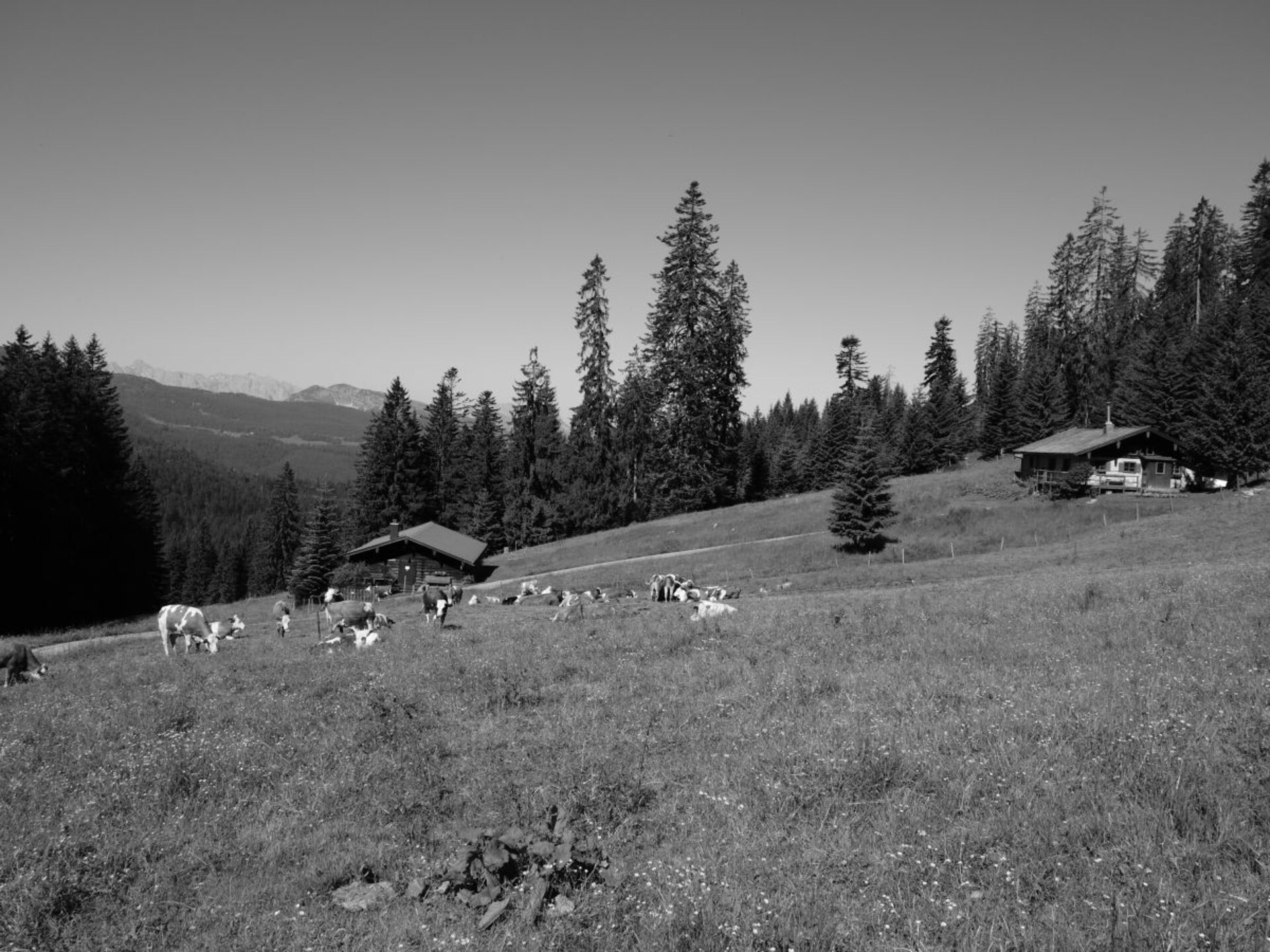 18073 - foto 21