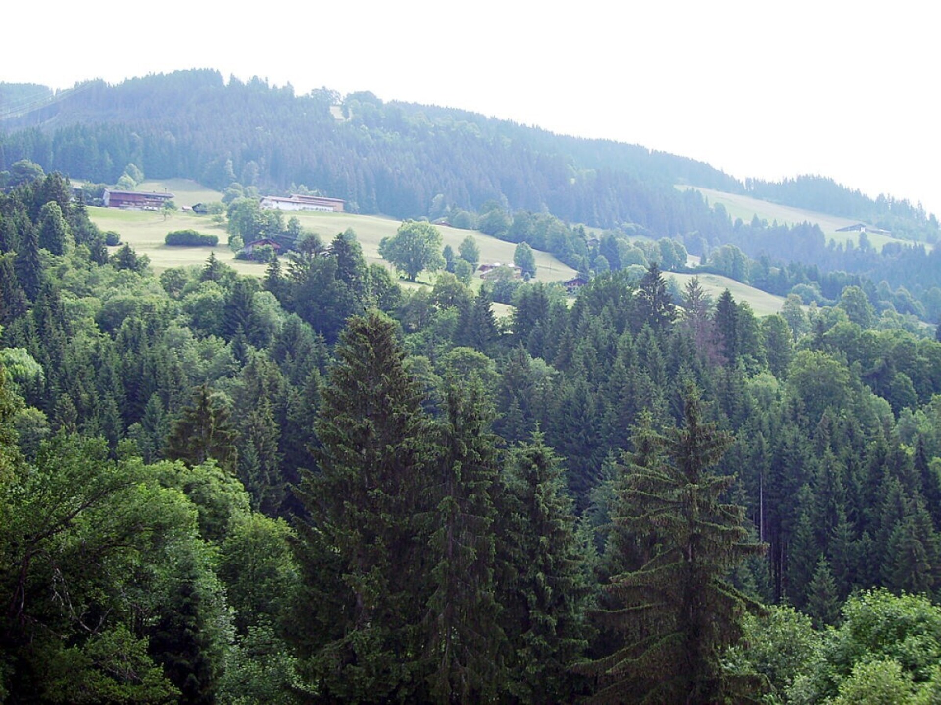 29236 - foto 13