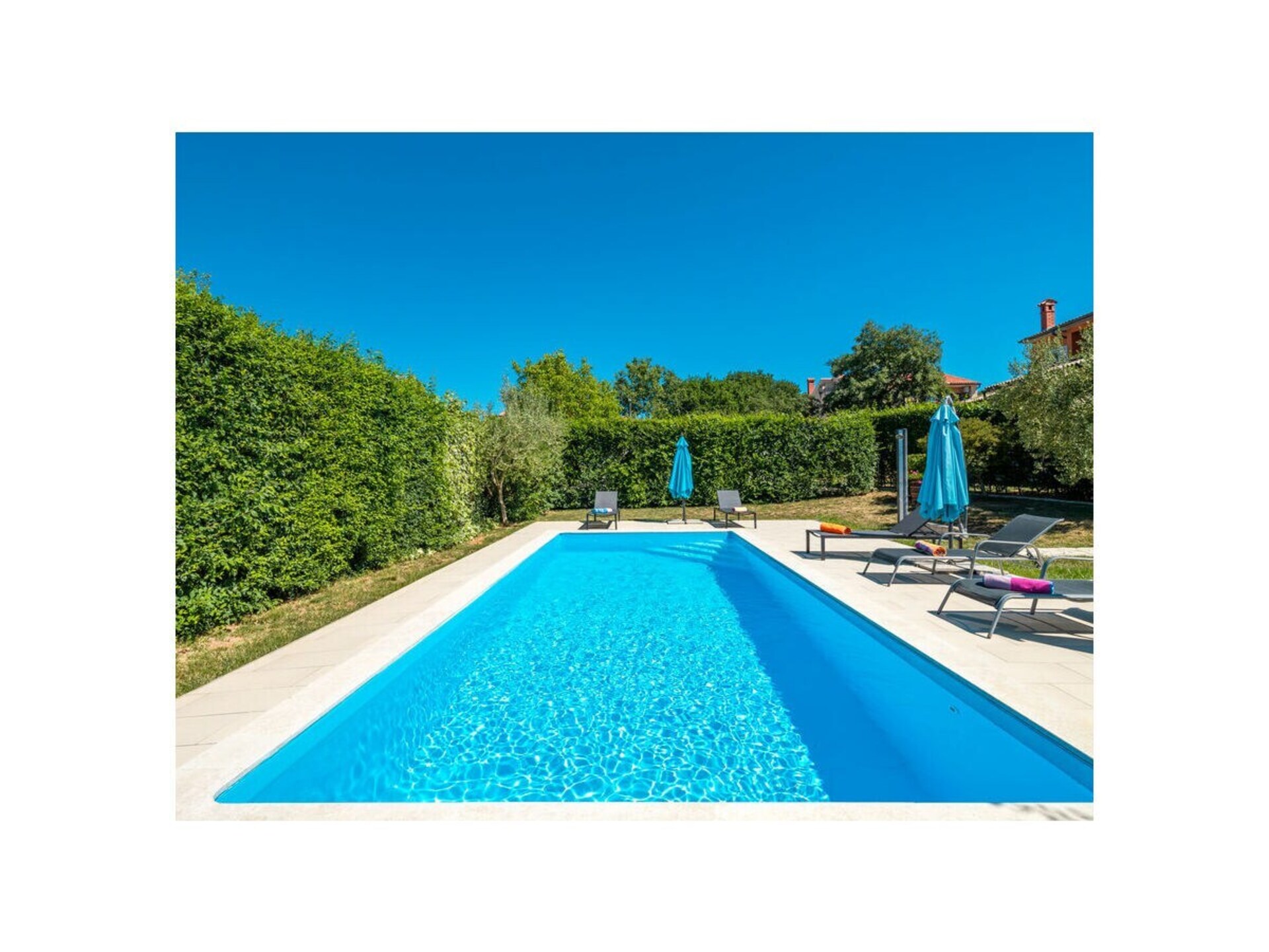 78177 - foto 5