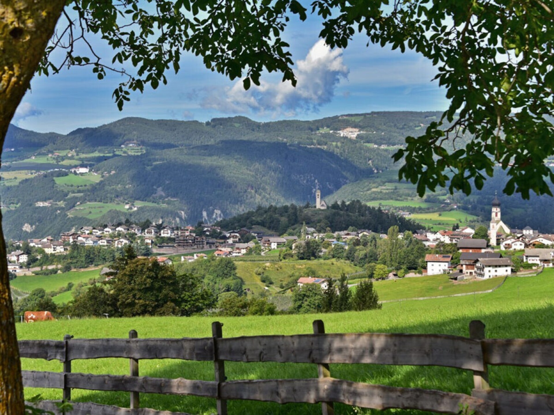 229226 - foto 16