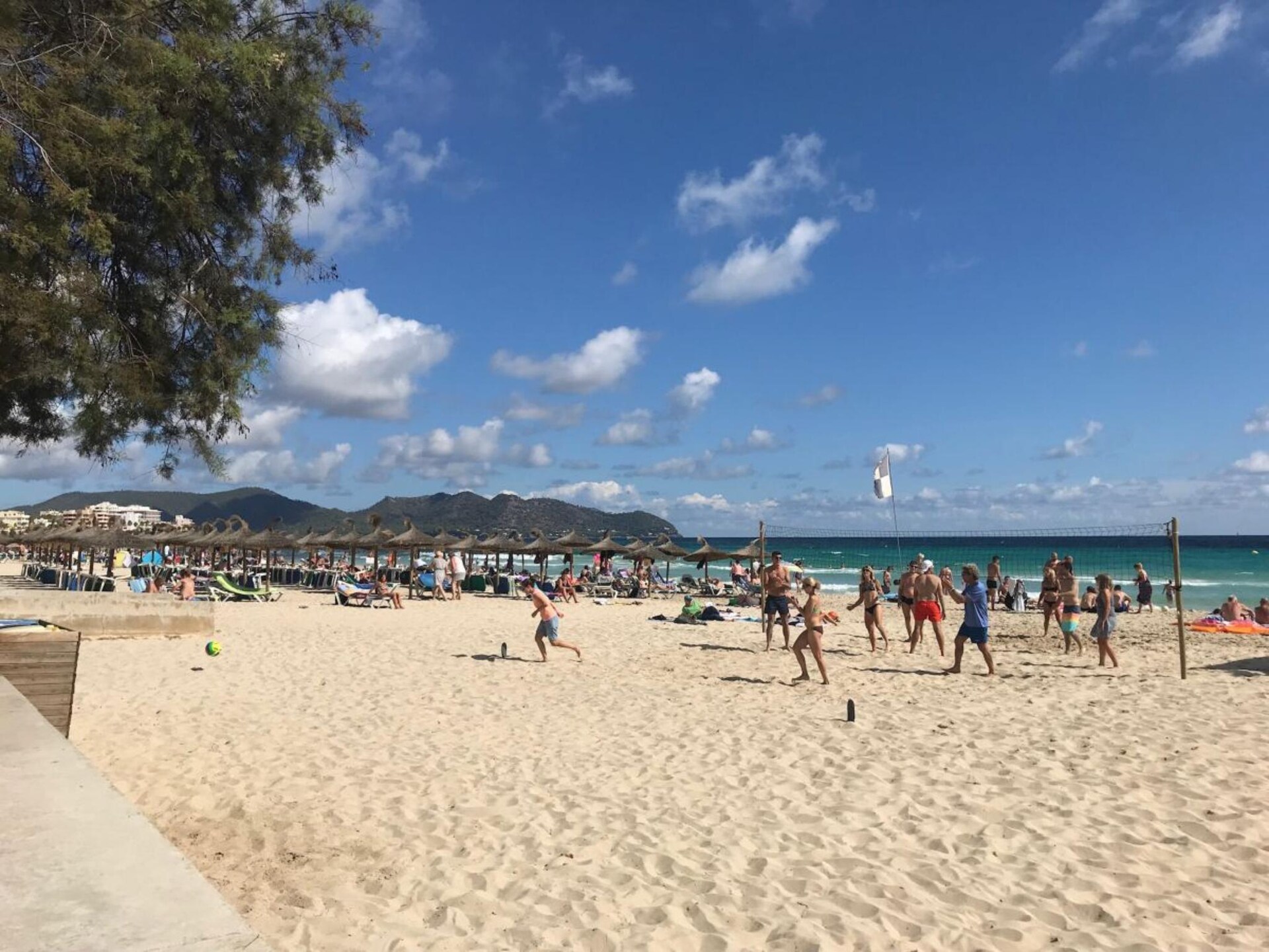 229439 - foto 37