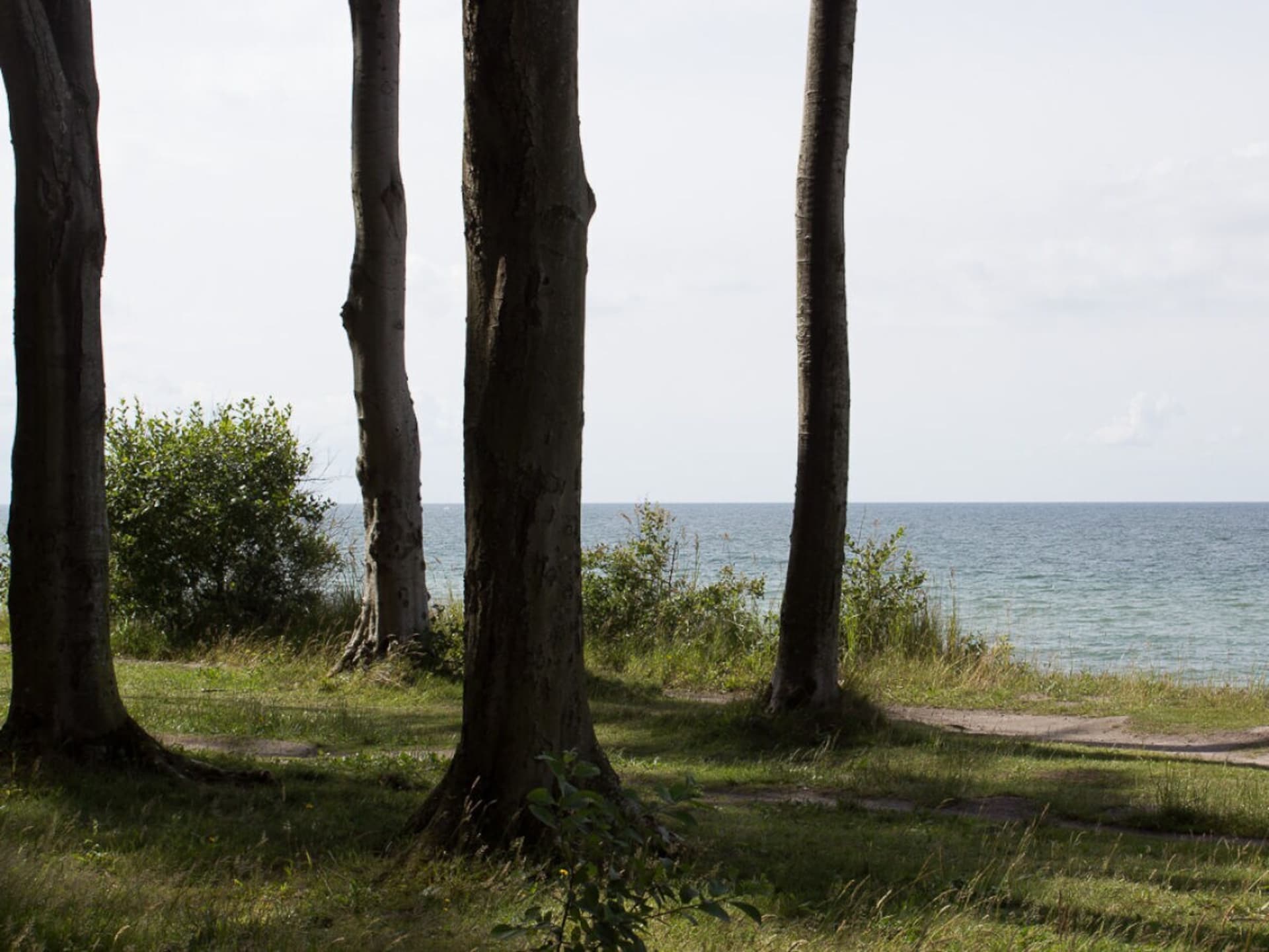 65566 - foto 11