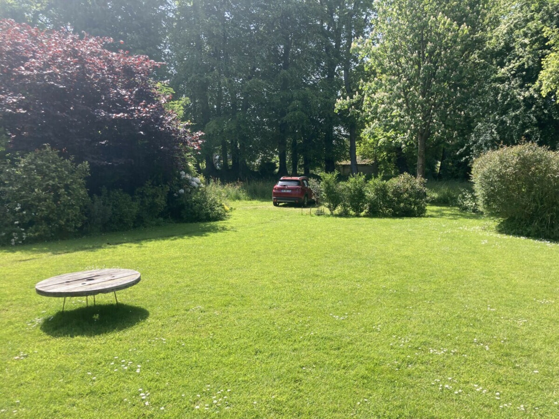 452306 - foto 38