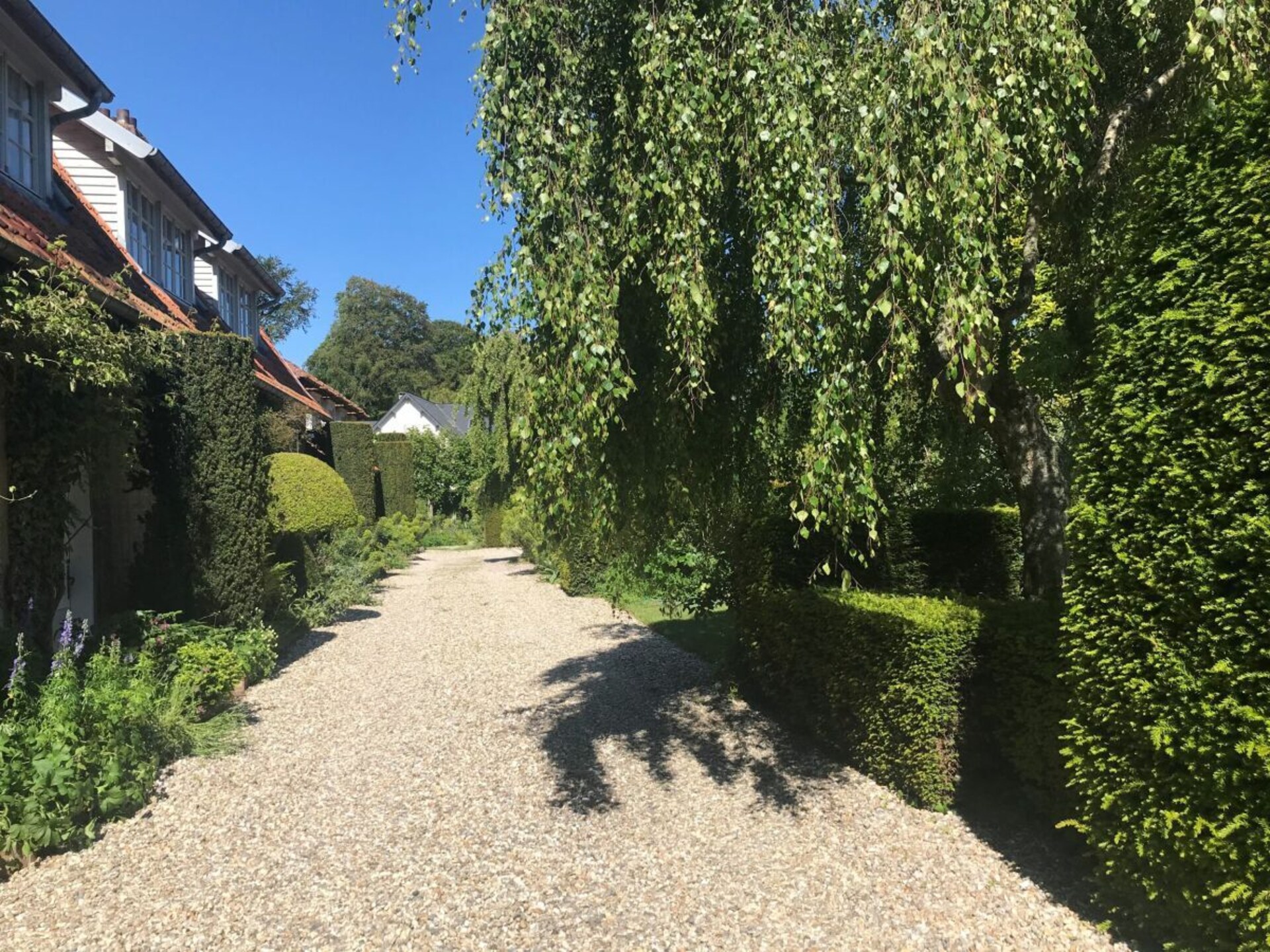 297705 - foto 7