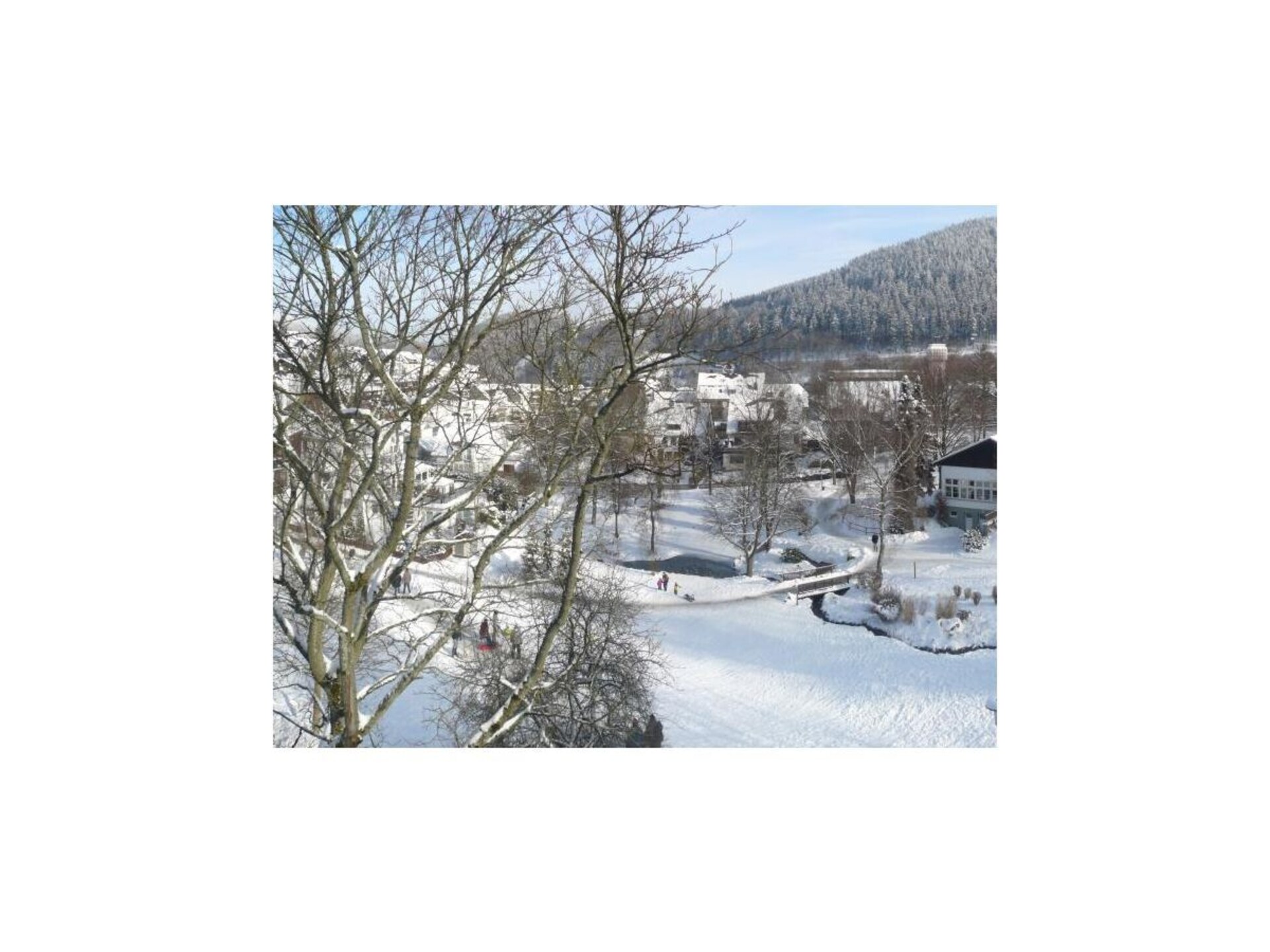 279887 - foto 22