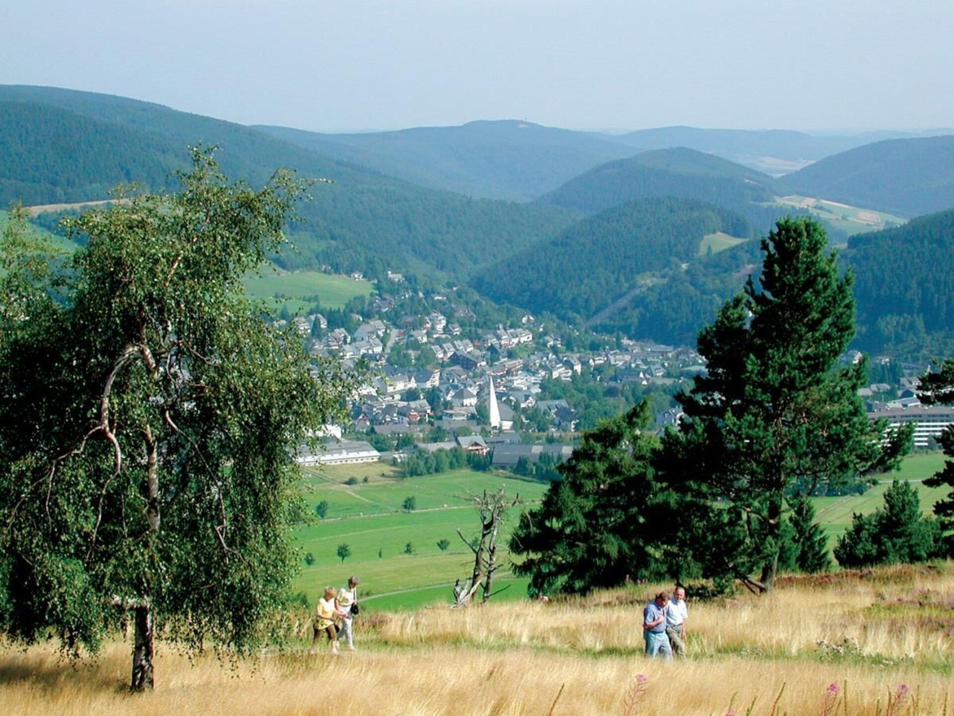 279887 - foto 26