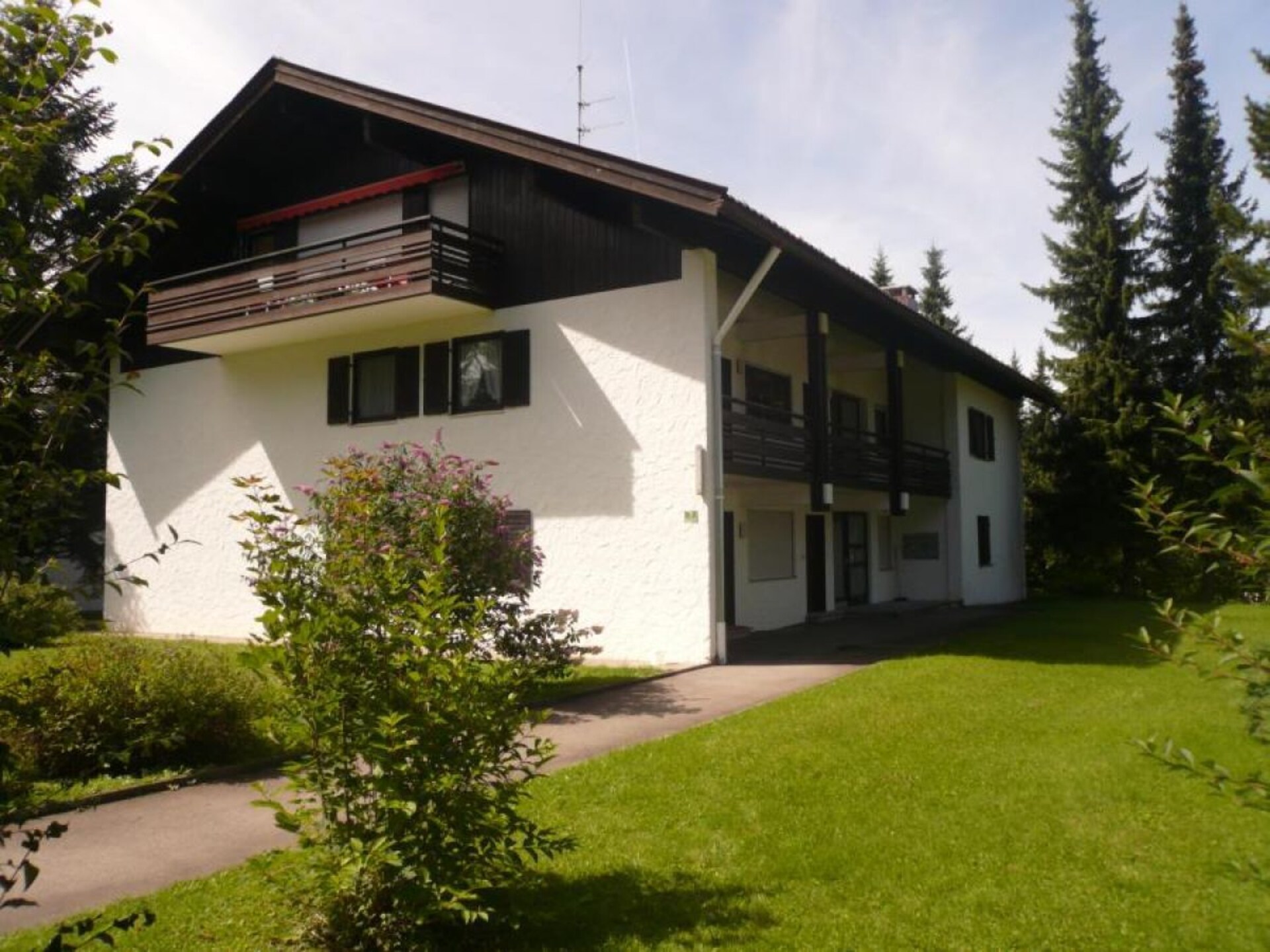 64693 - foto 3