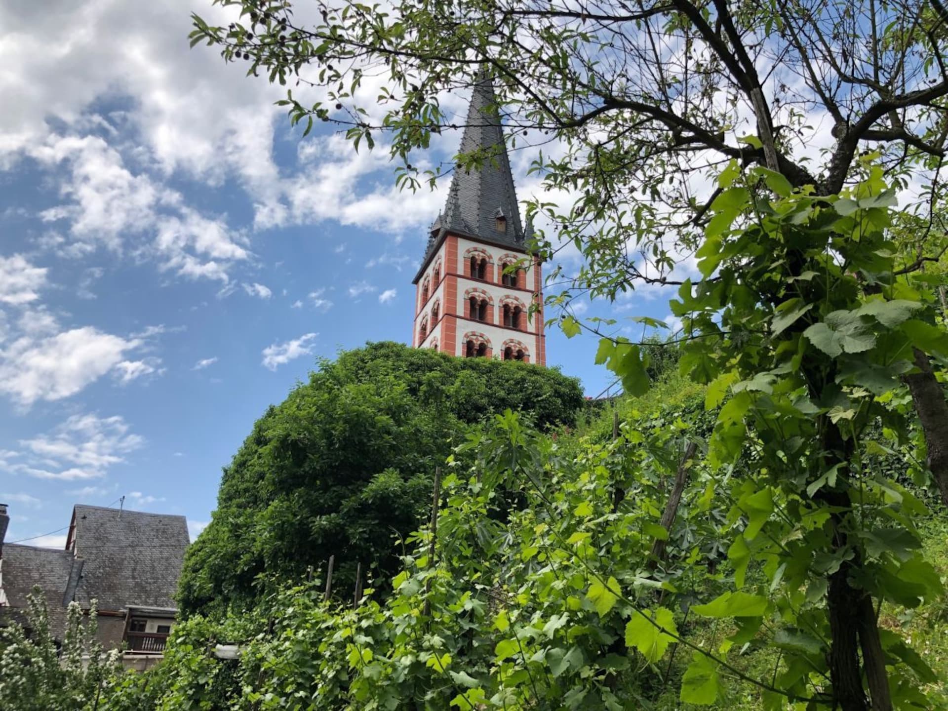 271000 - foto 3