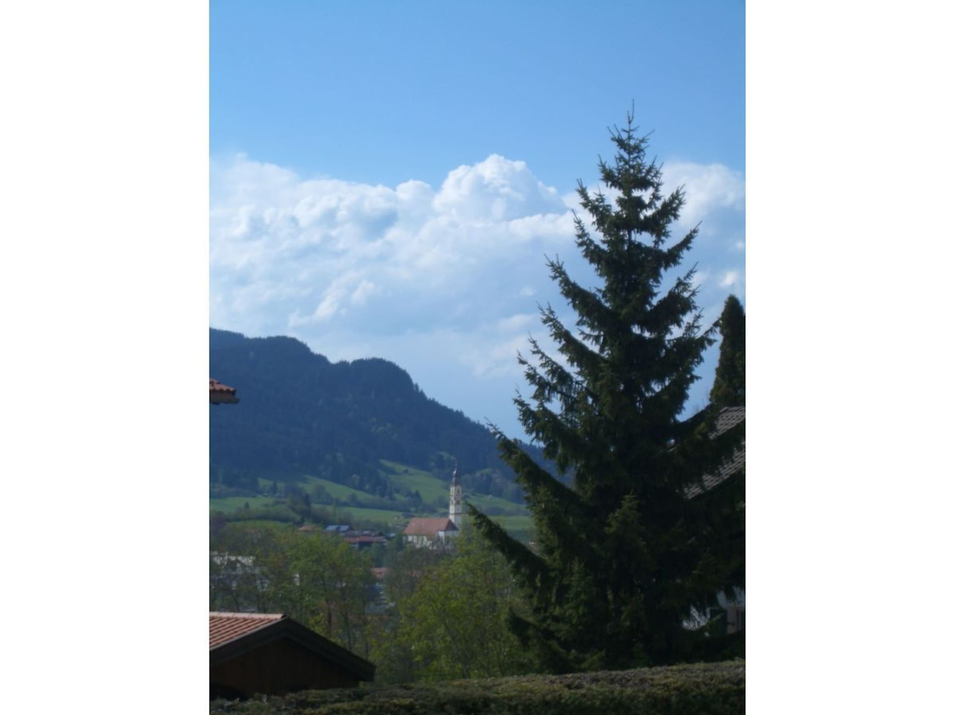 86495 - foto 16