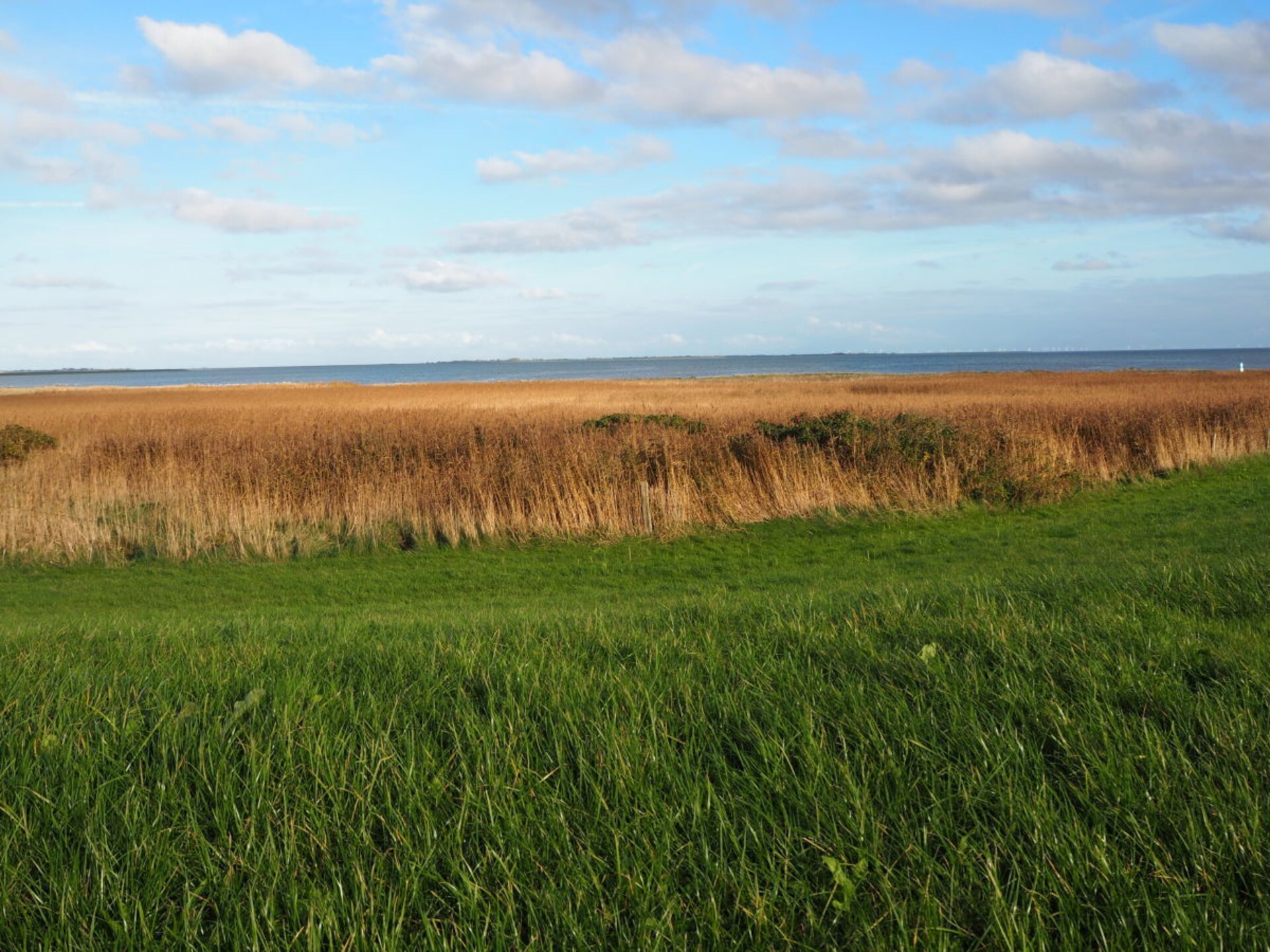 268034 - foto 24