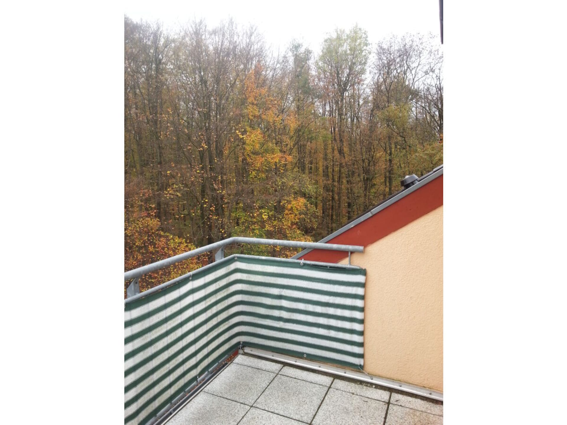 49189 - foto 1