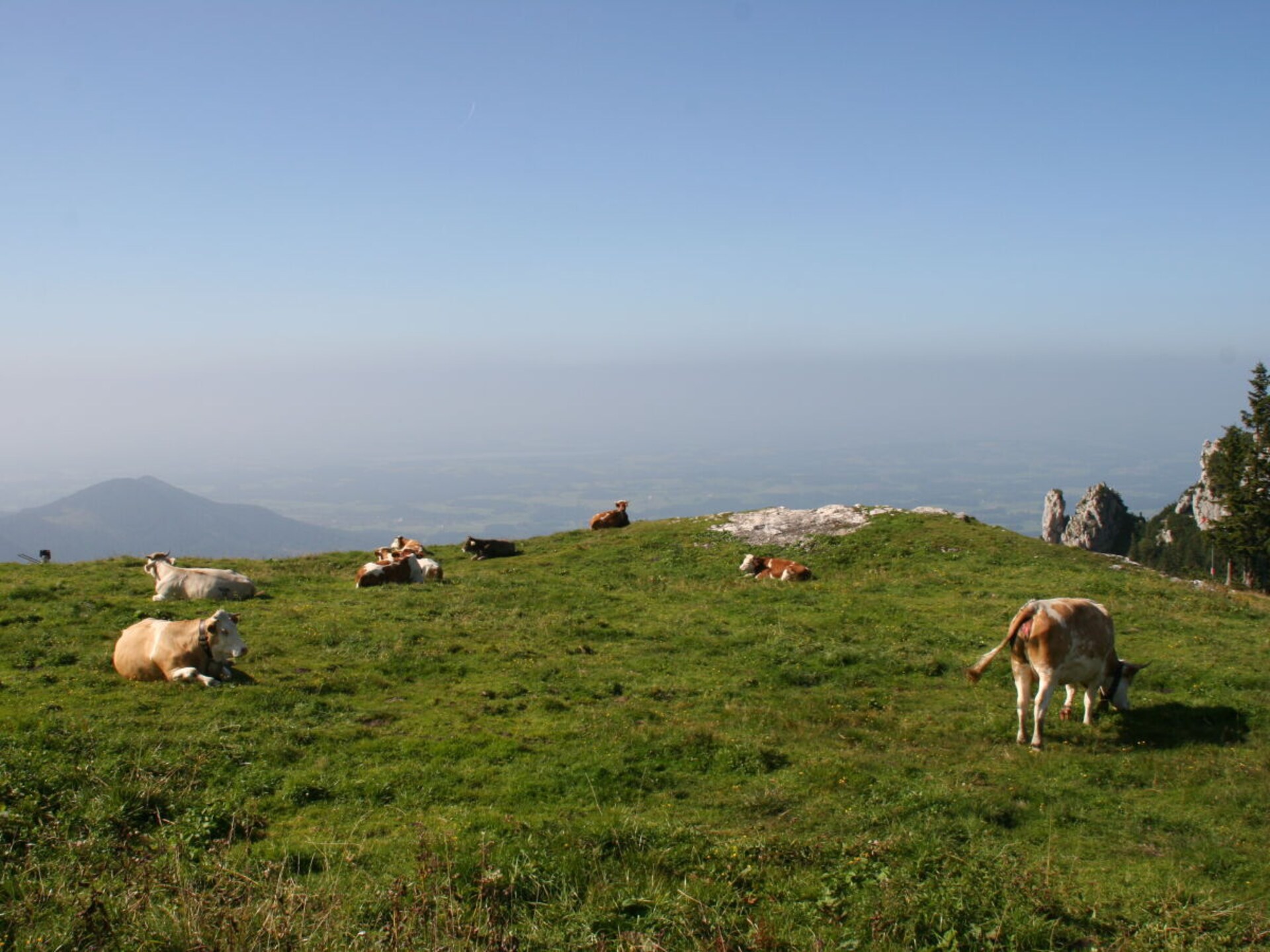 297367 - foto 25