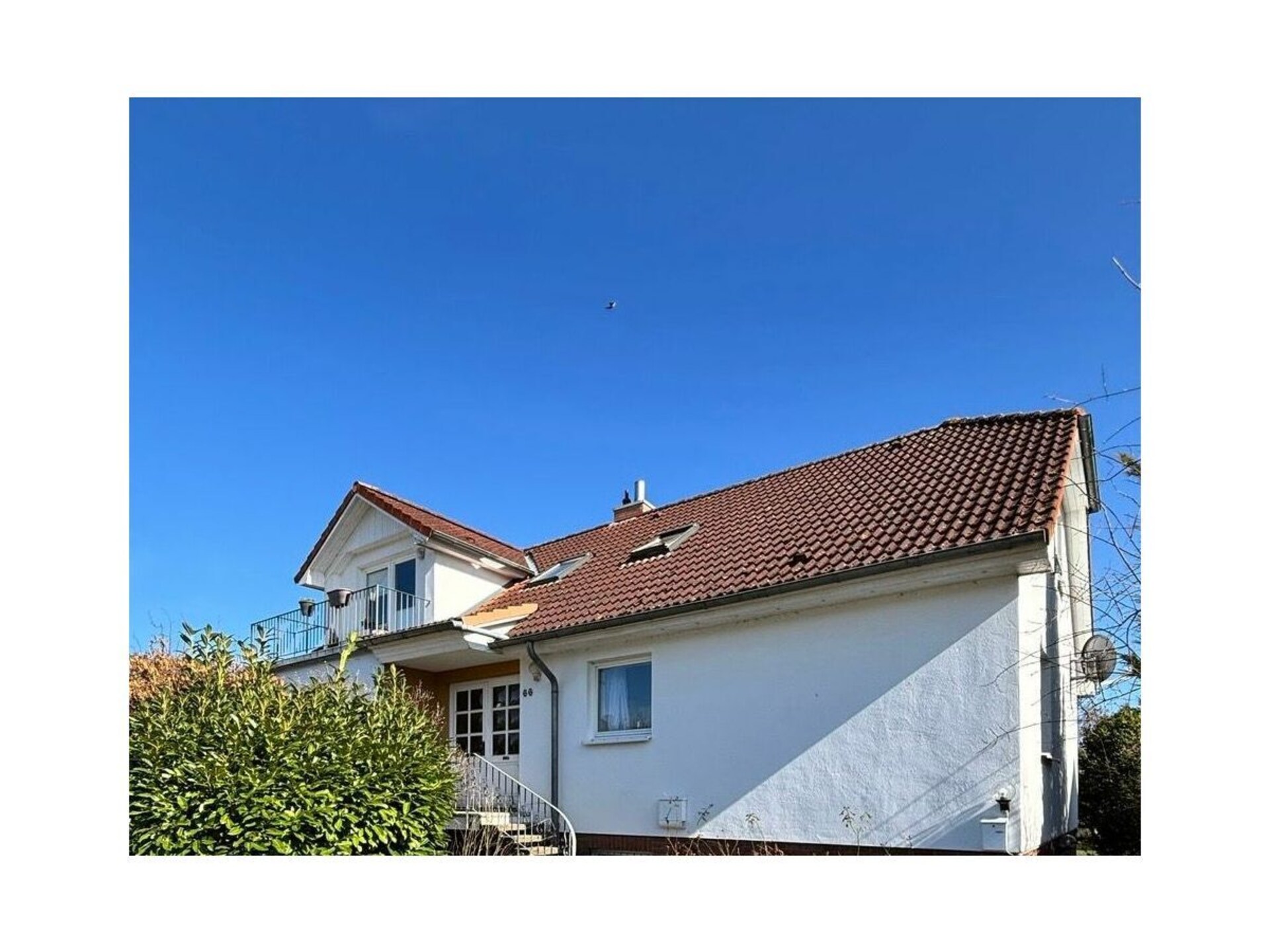 626708 - foto 16