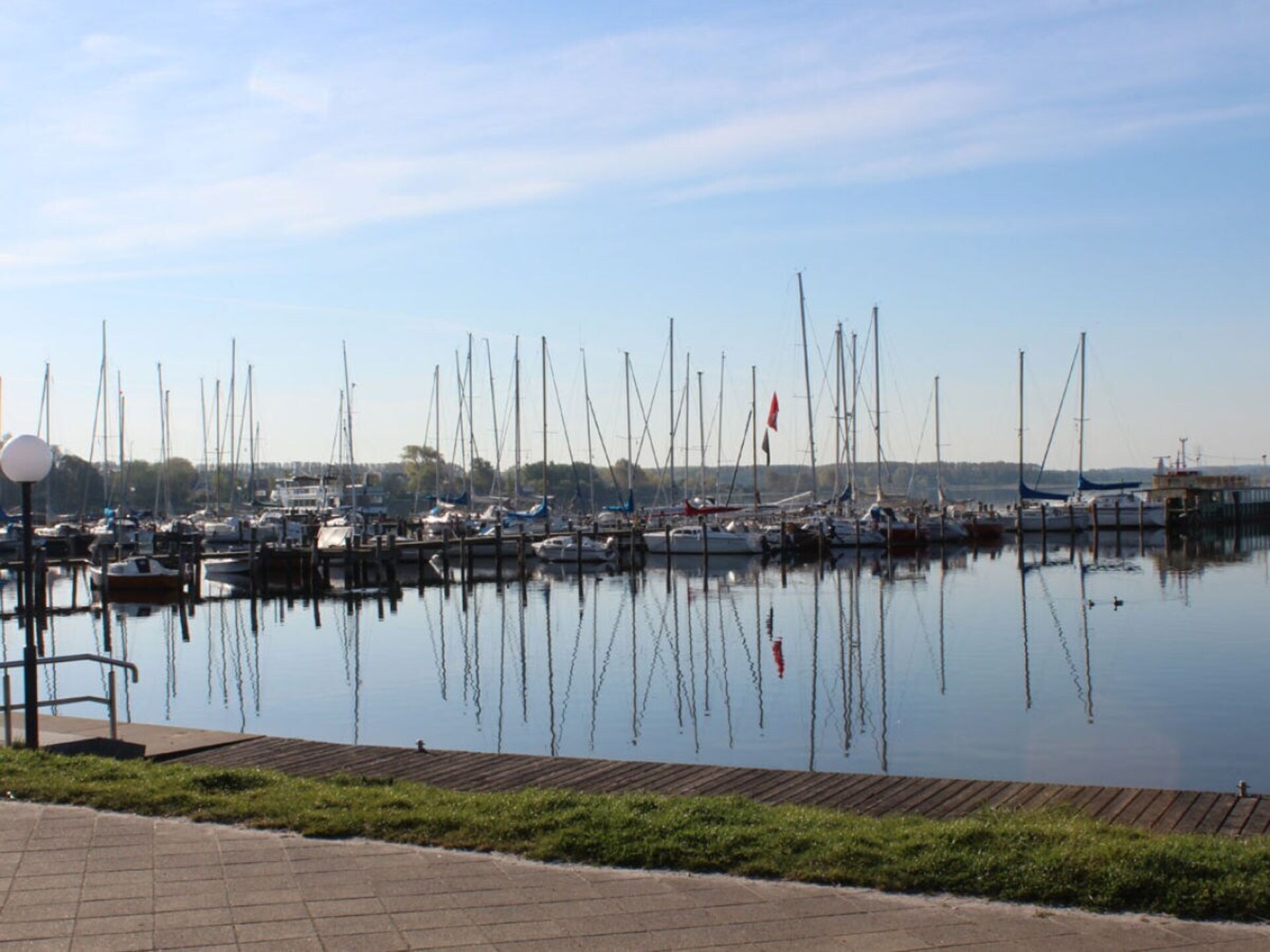 204802 - foto 26