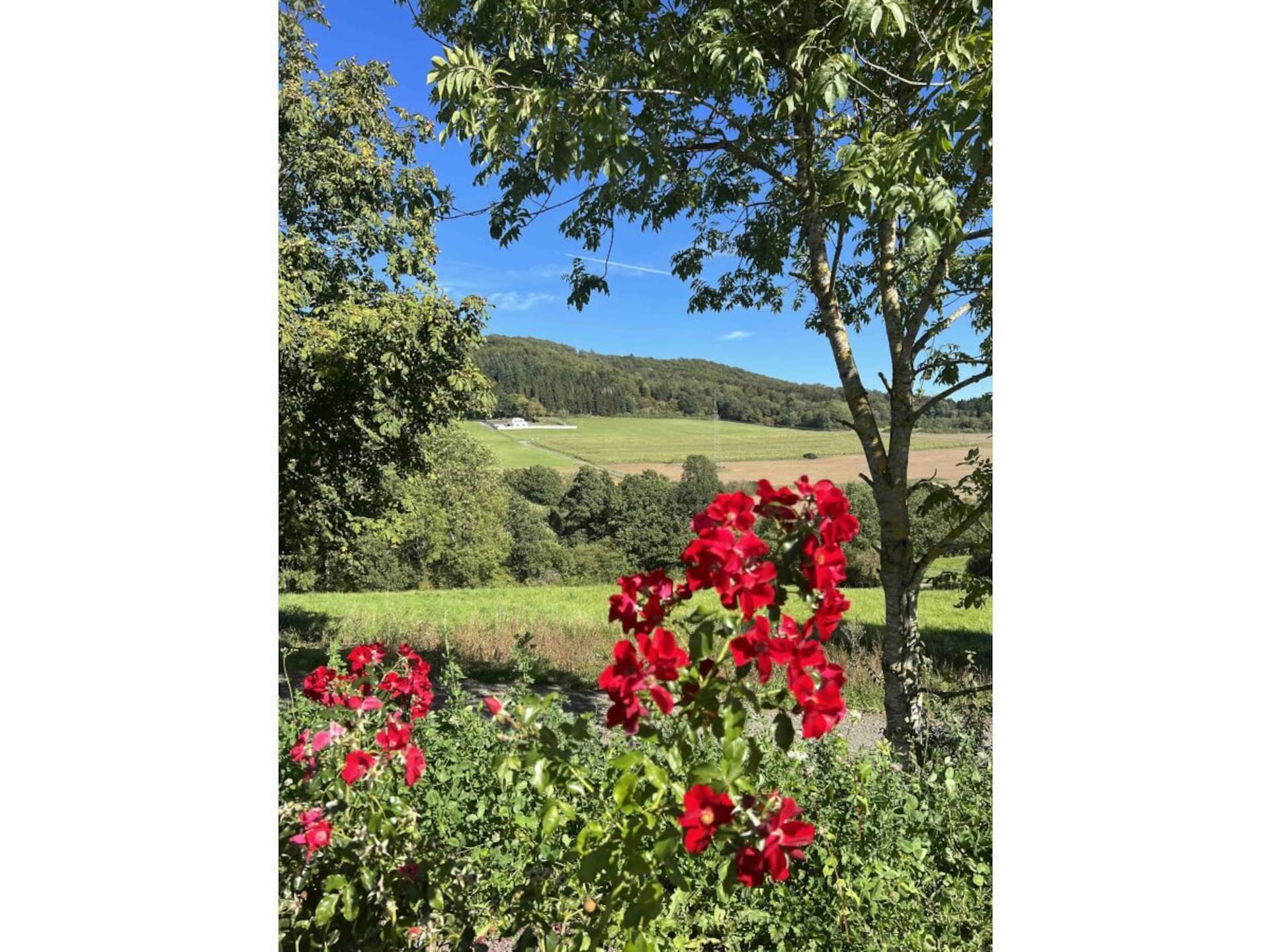 647638 - foto 27