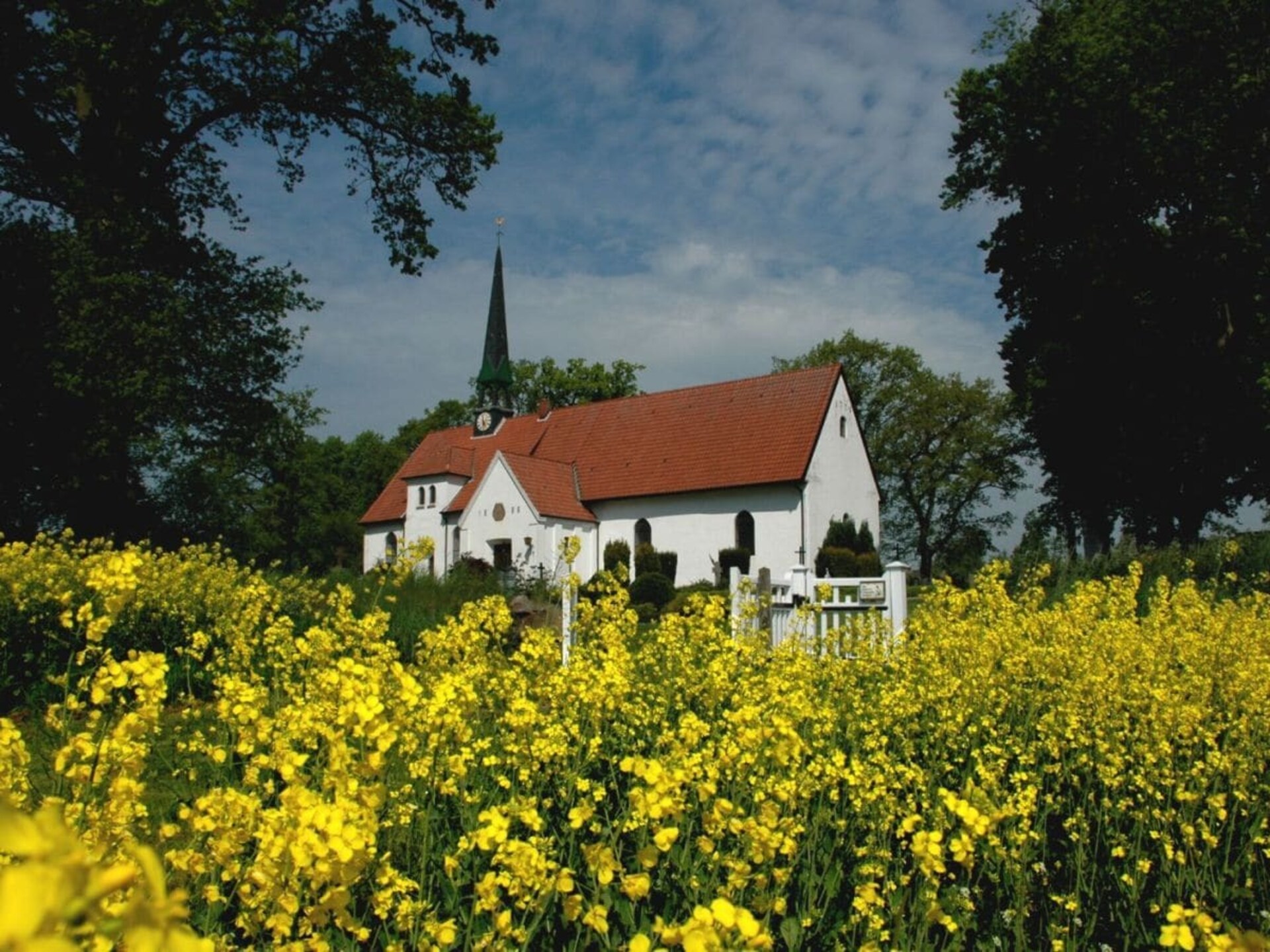 57033 - foto 14