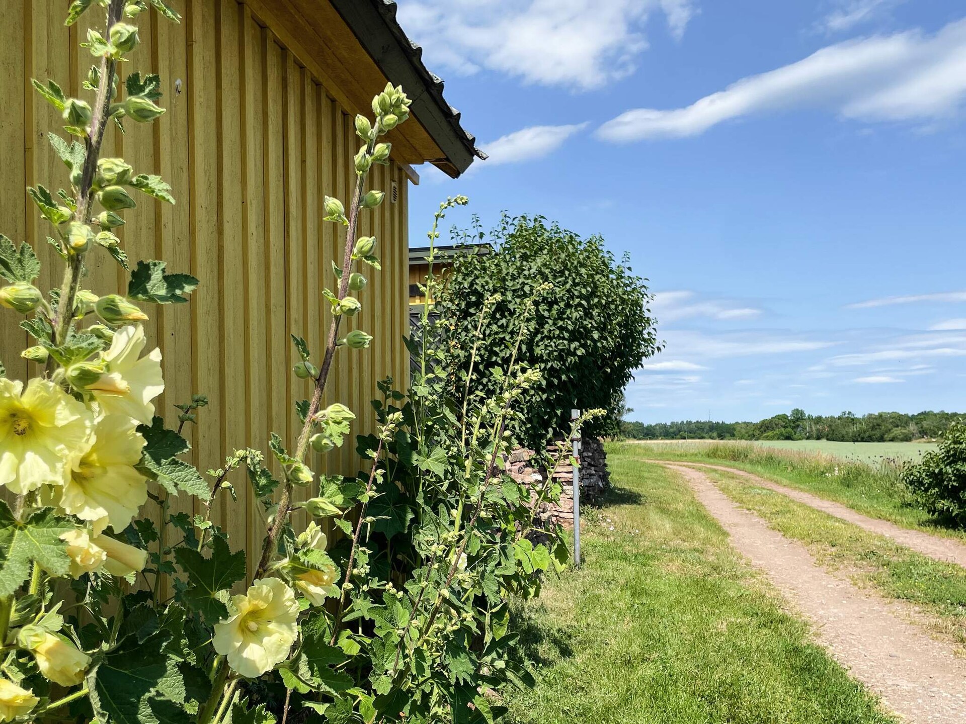 66073 - foto 14
