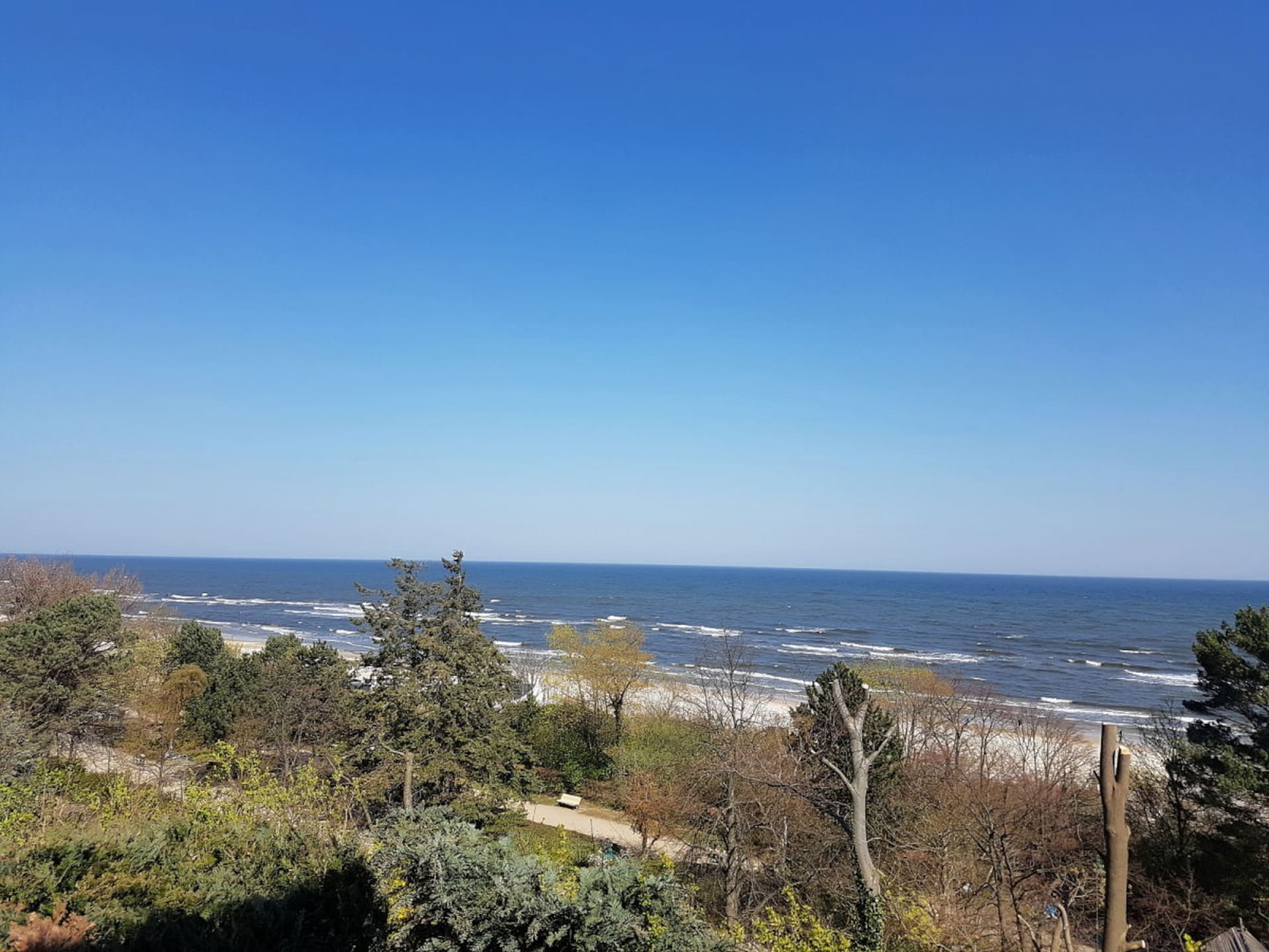 248259 - foto 4