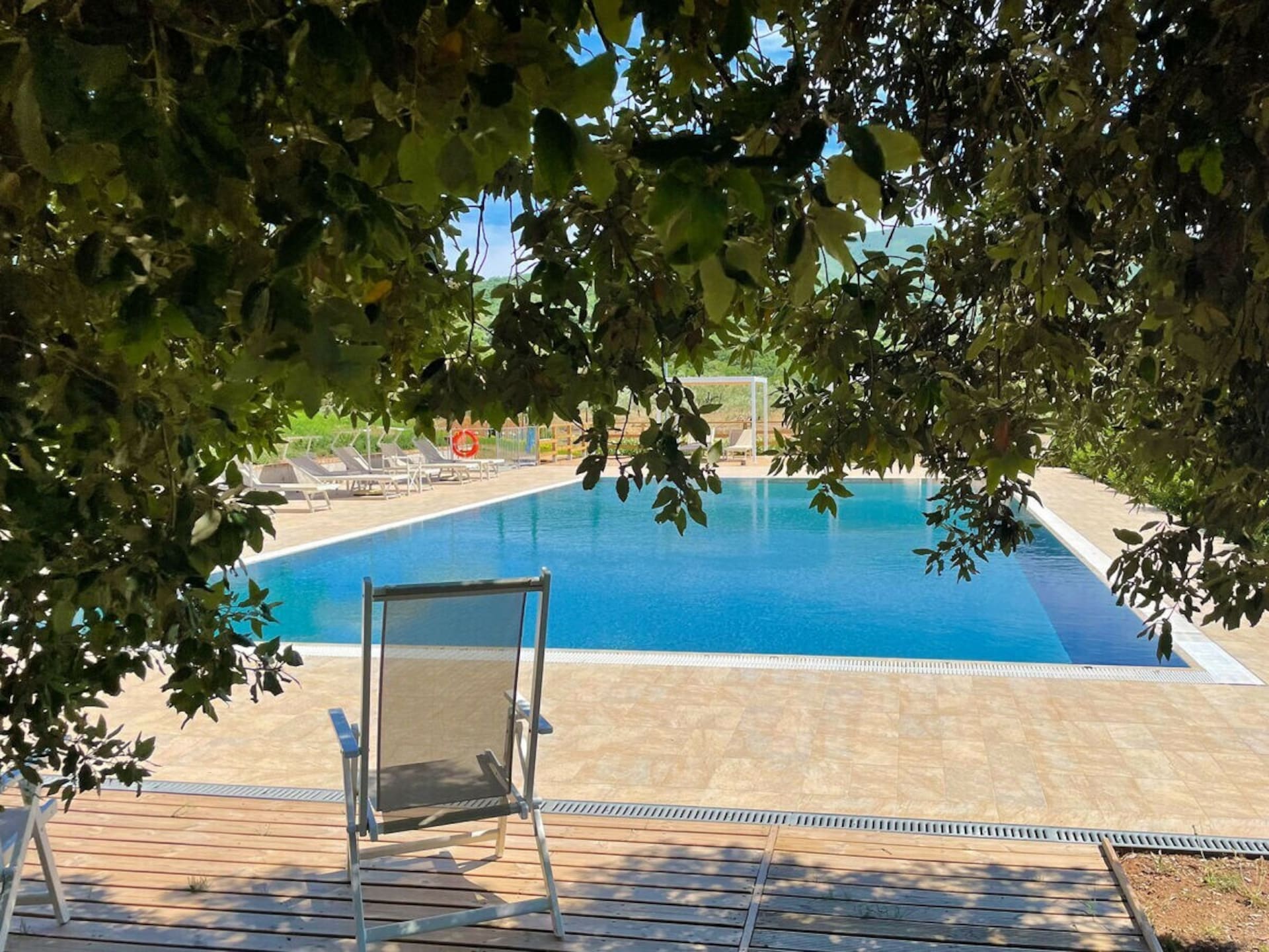 475842 - foto 8