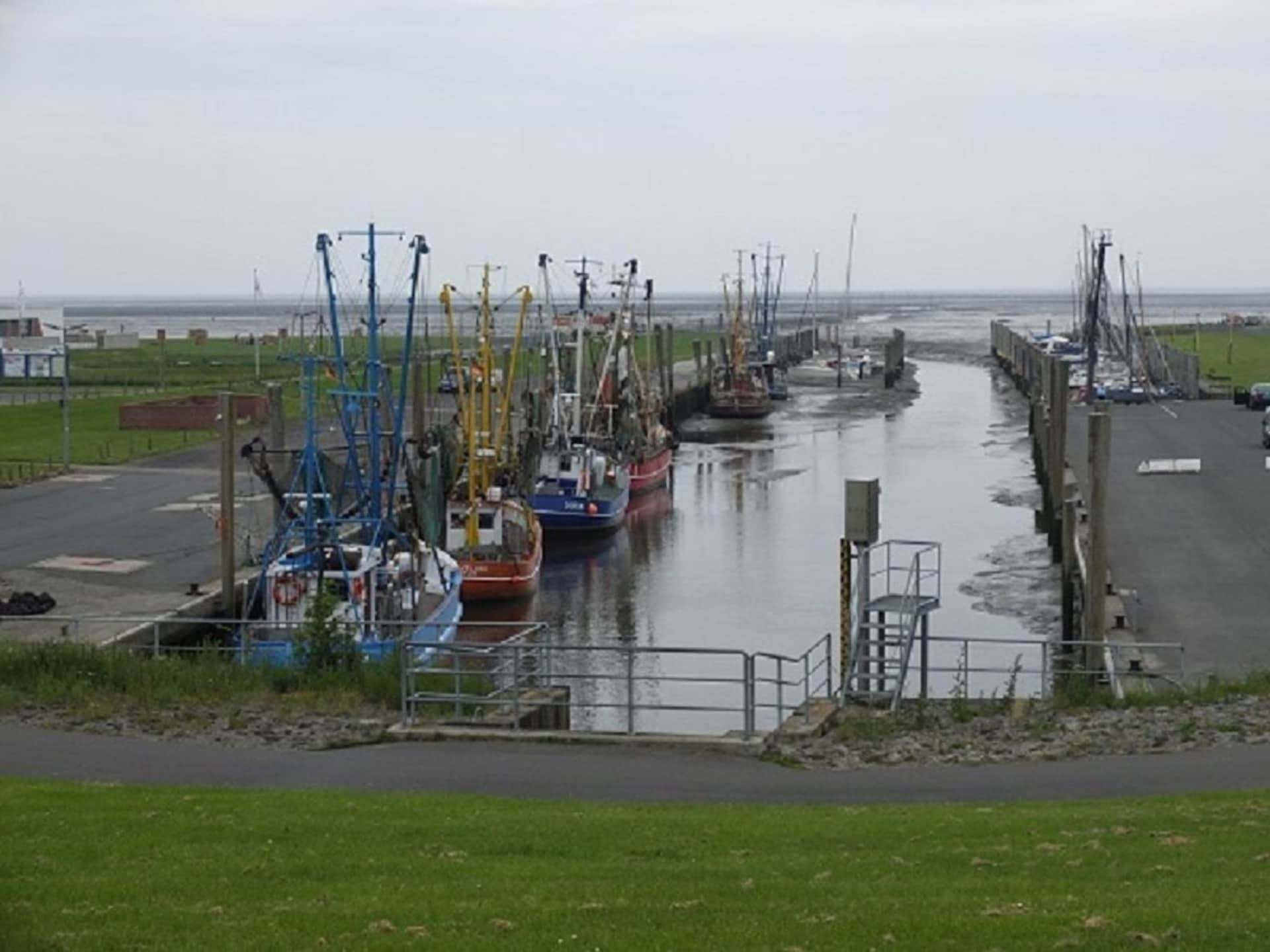230597 - foto 14