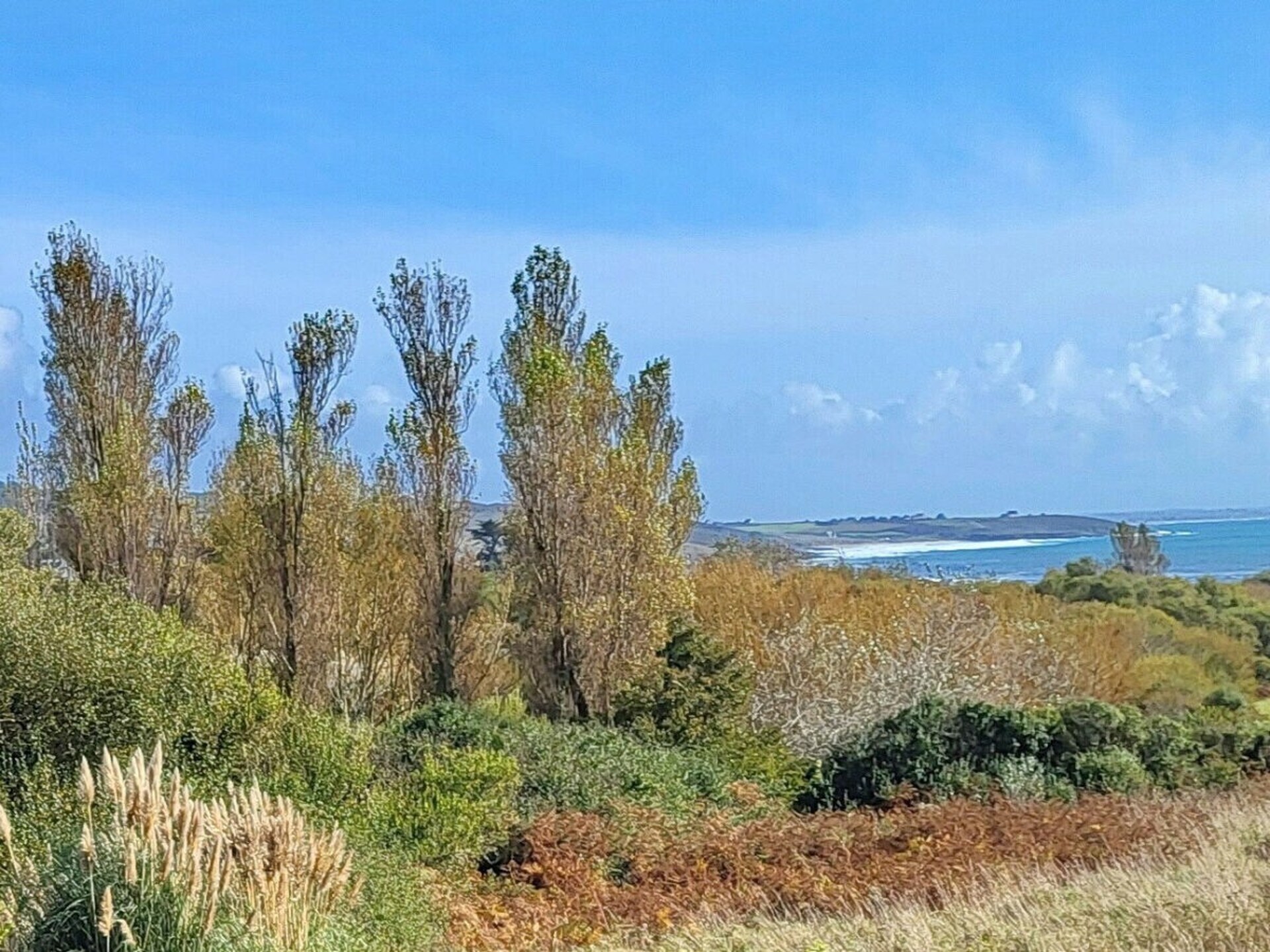 545364 - foto 40
