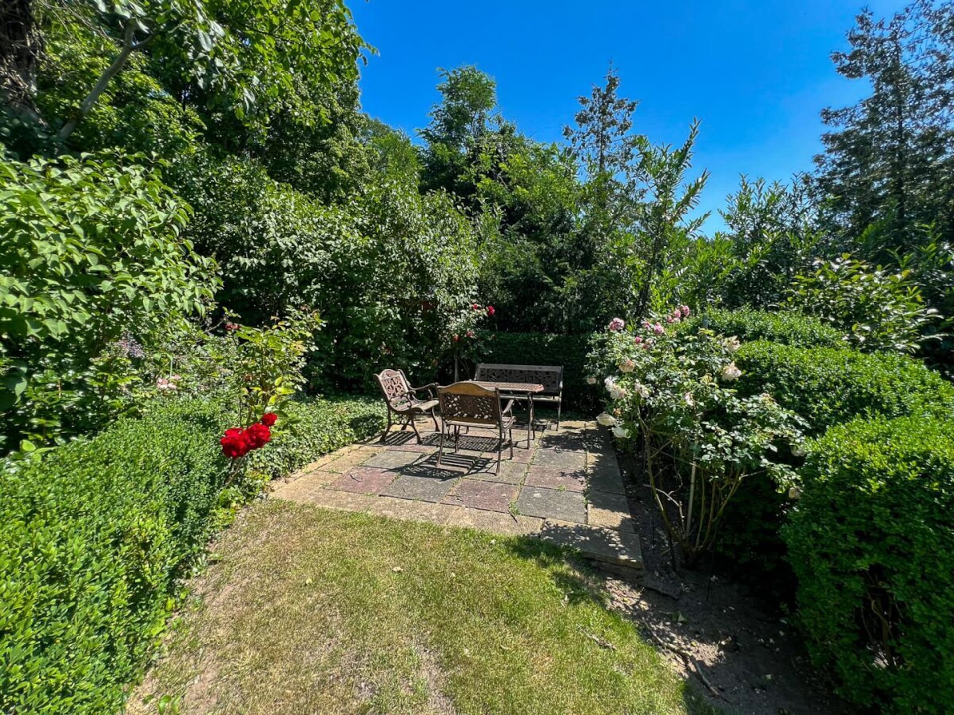 739869 - foto 2