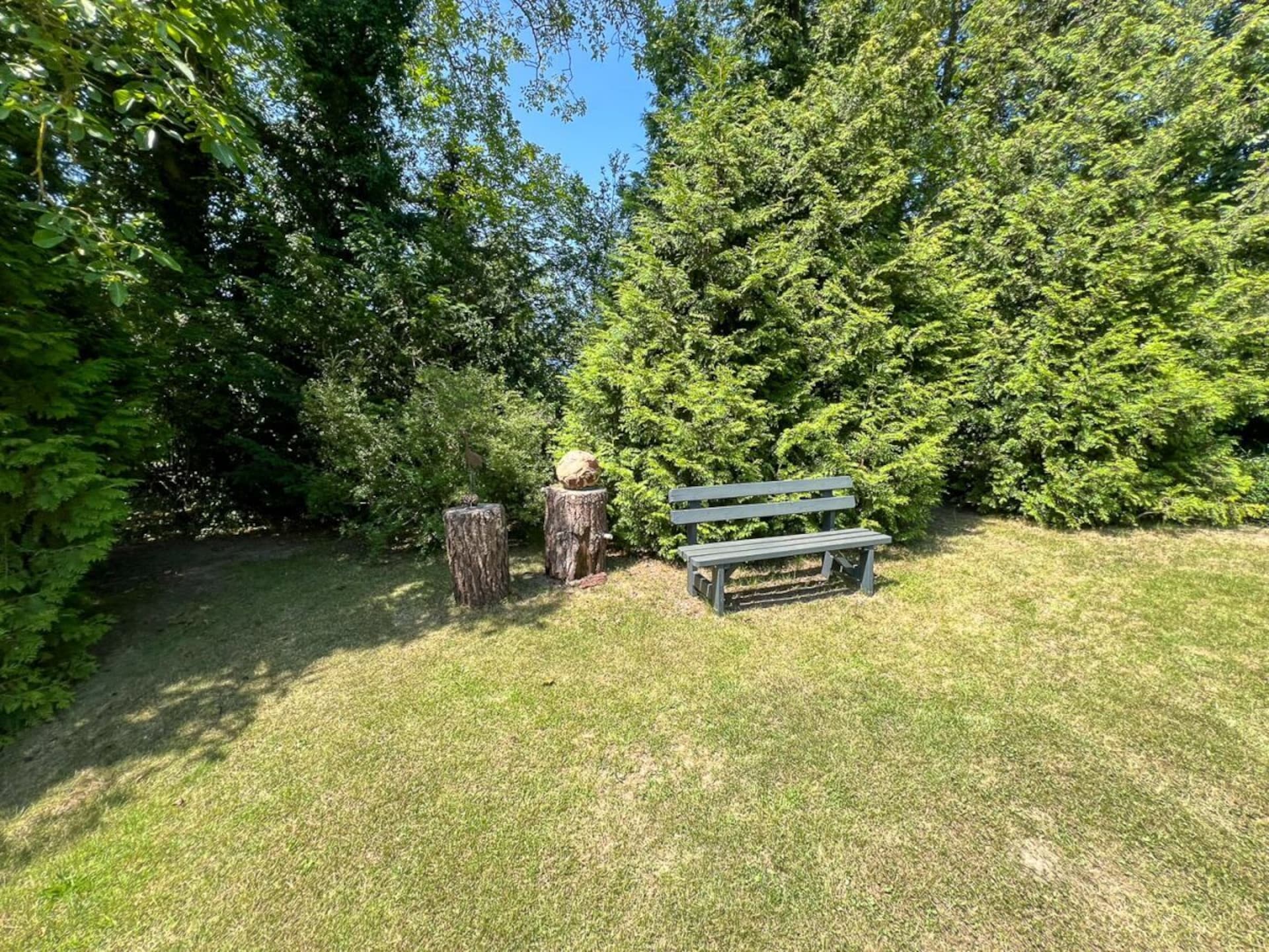 739869 - foto 19
