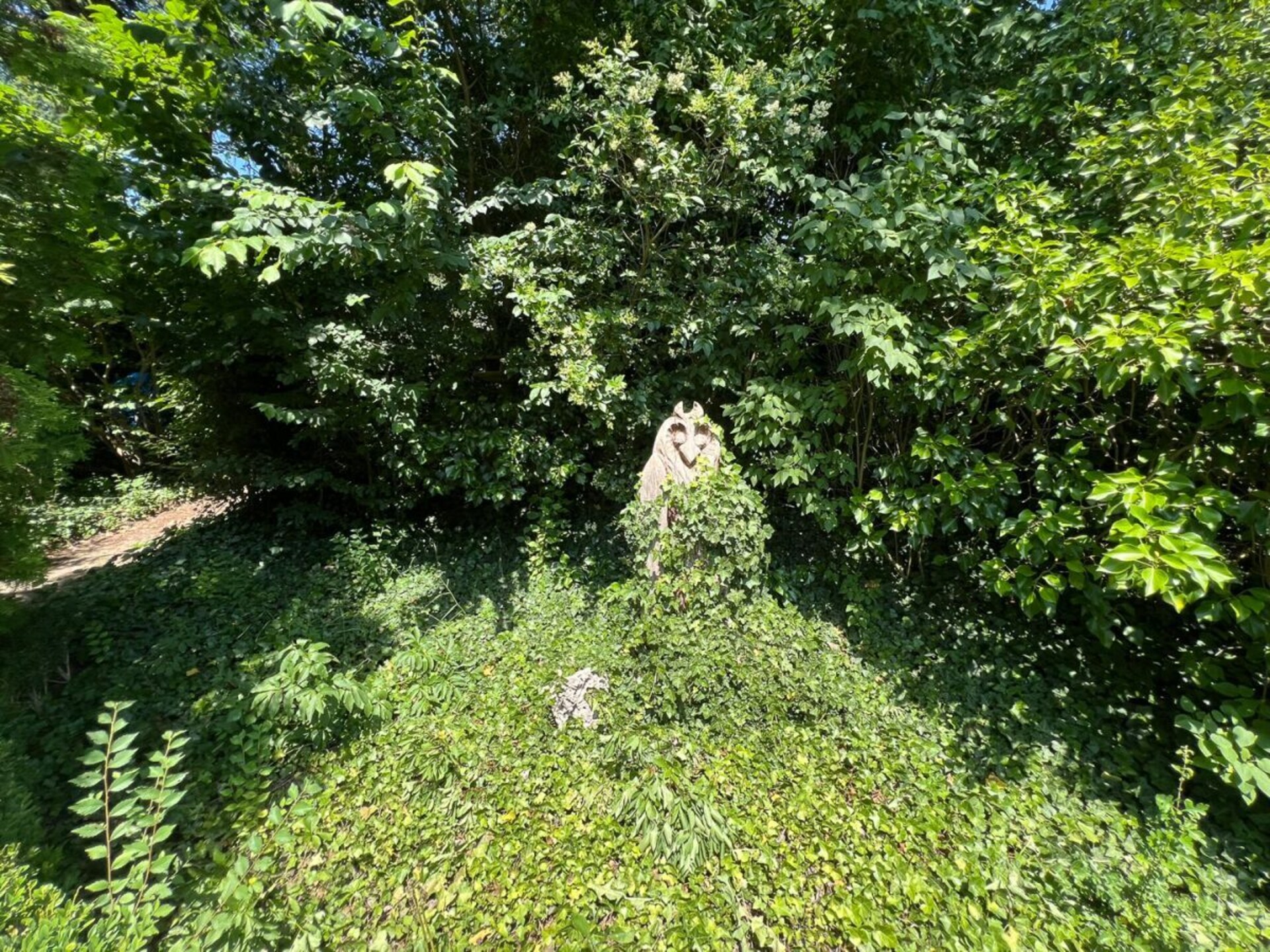 739869 - foto 20