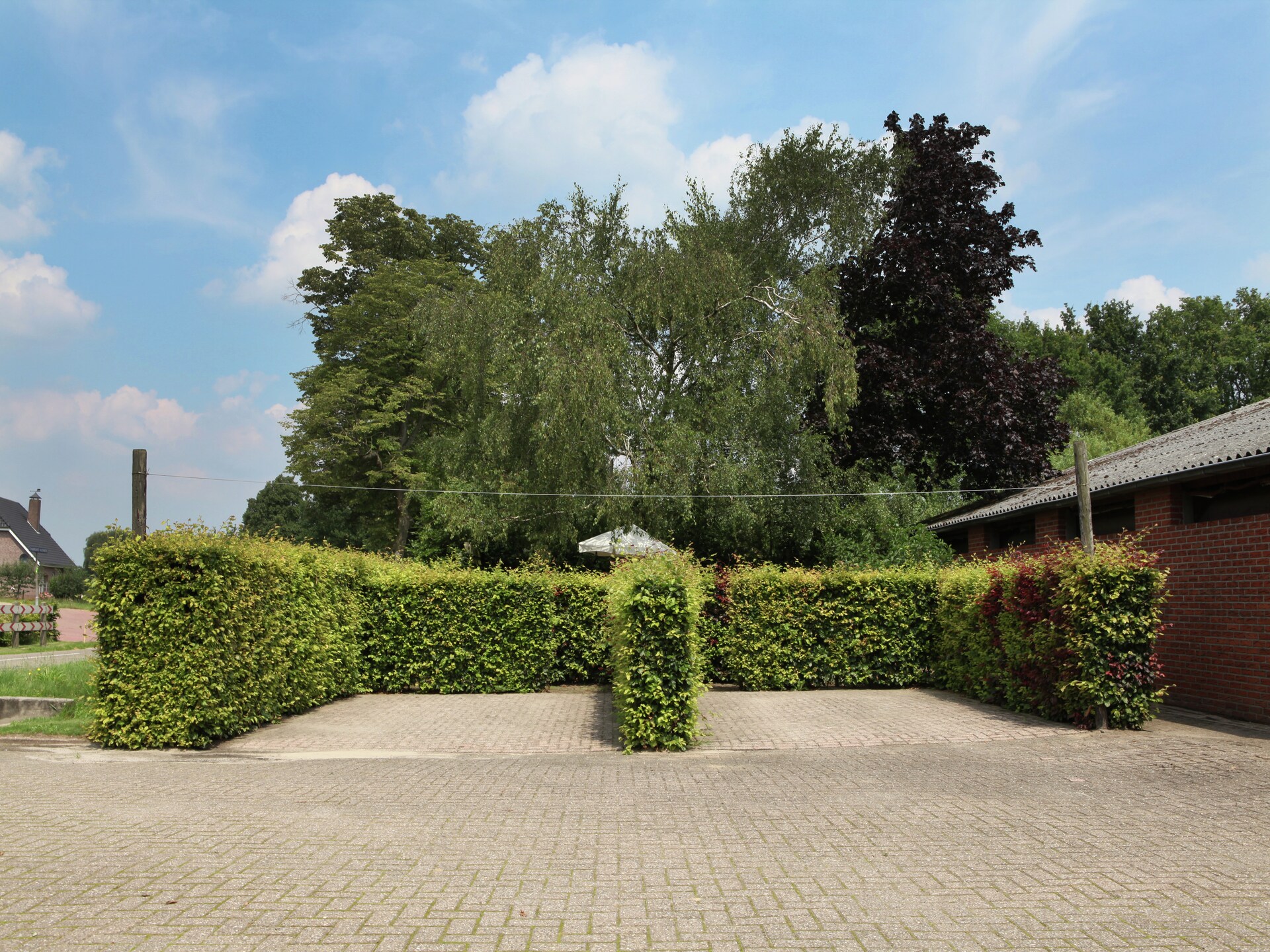 Romantische boerderij De Maaijen: rust, natuur en open haard in Ulicoten - foto 23