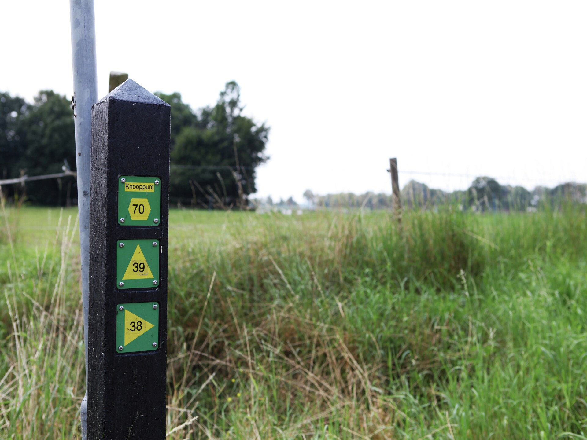 Romantische boerderij De Maaijen: rust, natuur en open haard in Ulicoten - foto 24