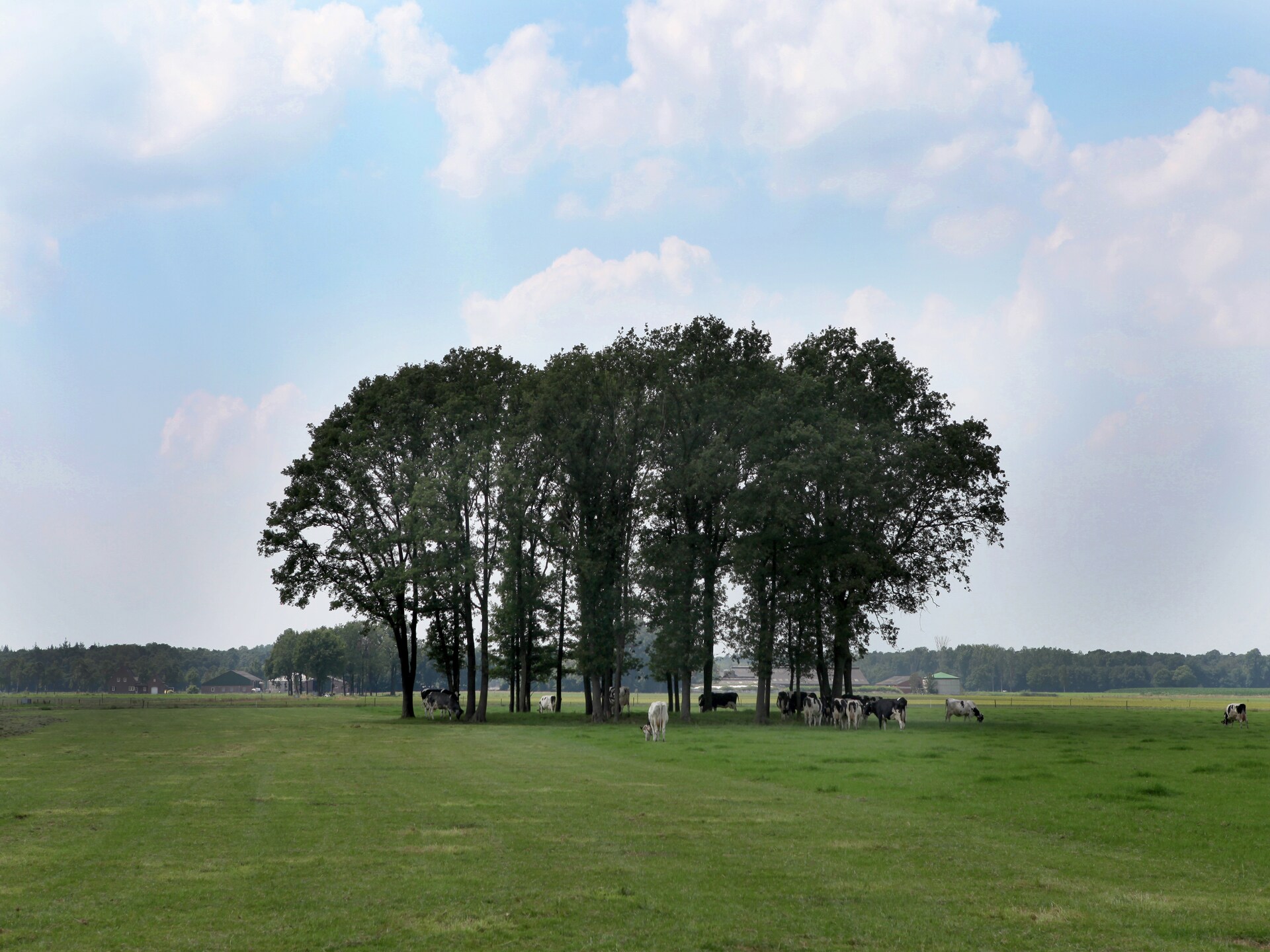 Romantische boerderij De Maaijen: rust, natuur en open haard in Ulicoten - foto 6
