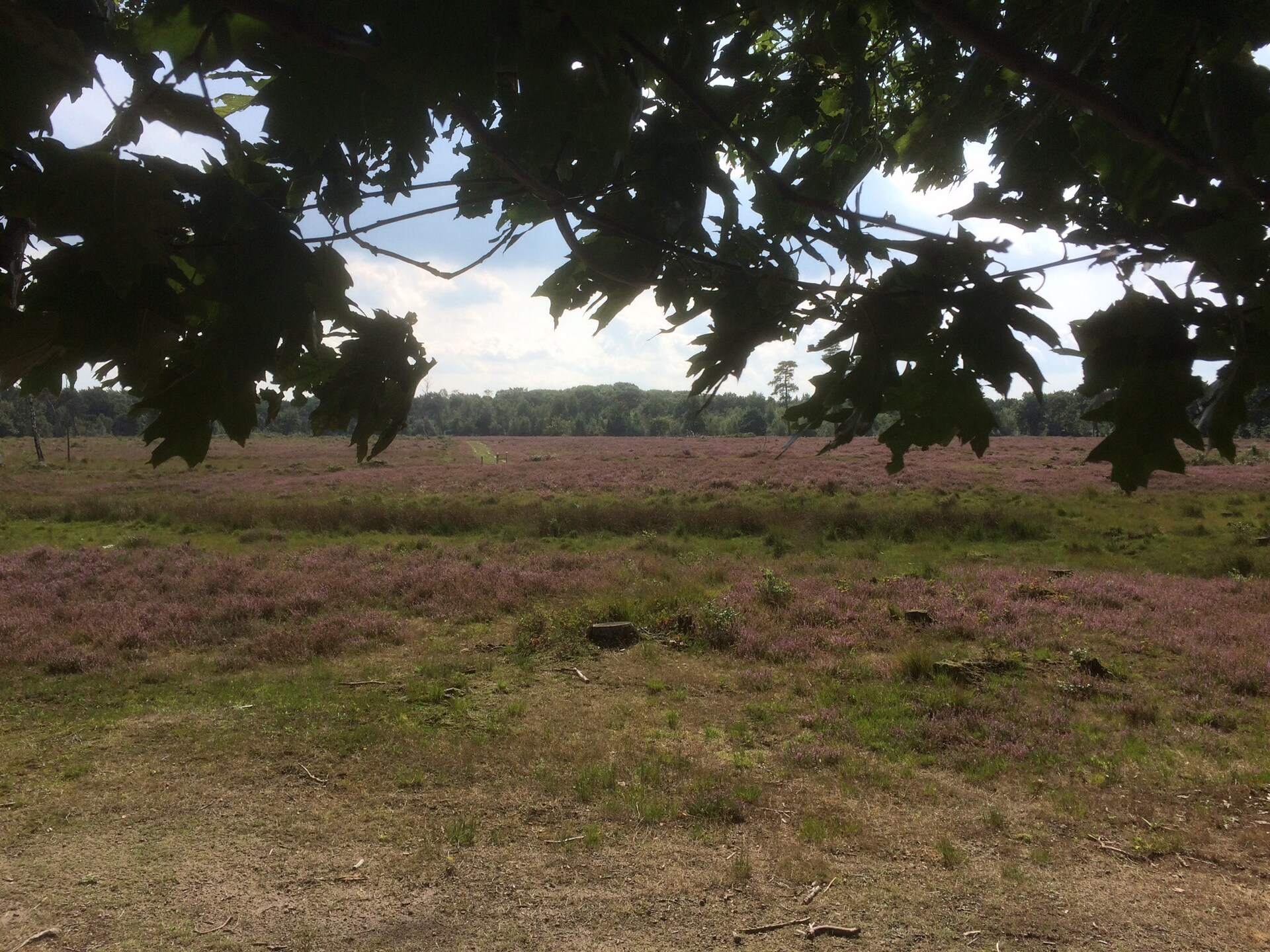 Romantische boerderij De Maaijen: rust, natuur en open haard in Ulicoten - foto 28