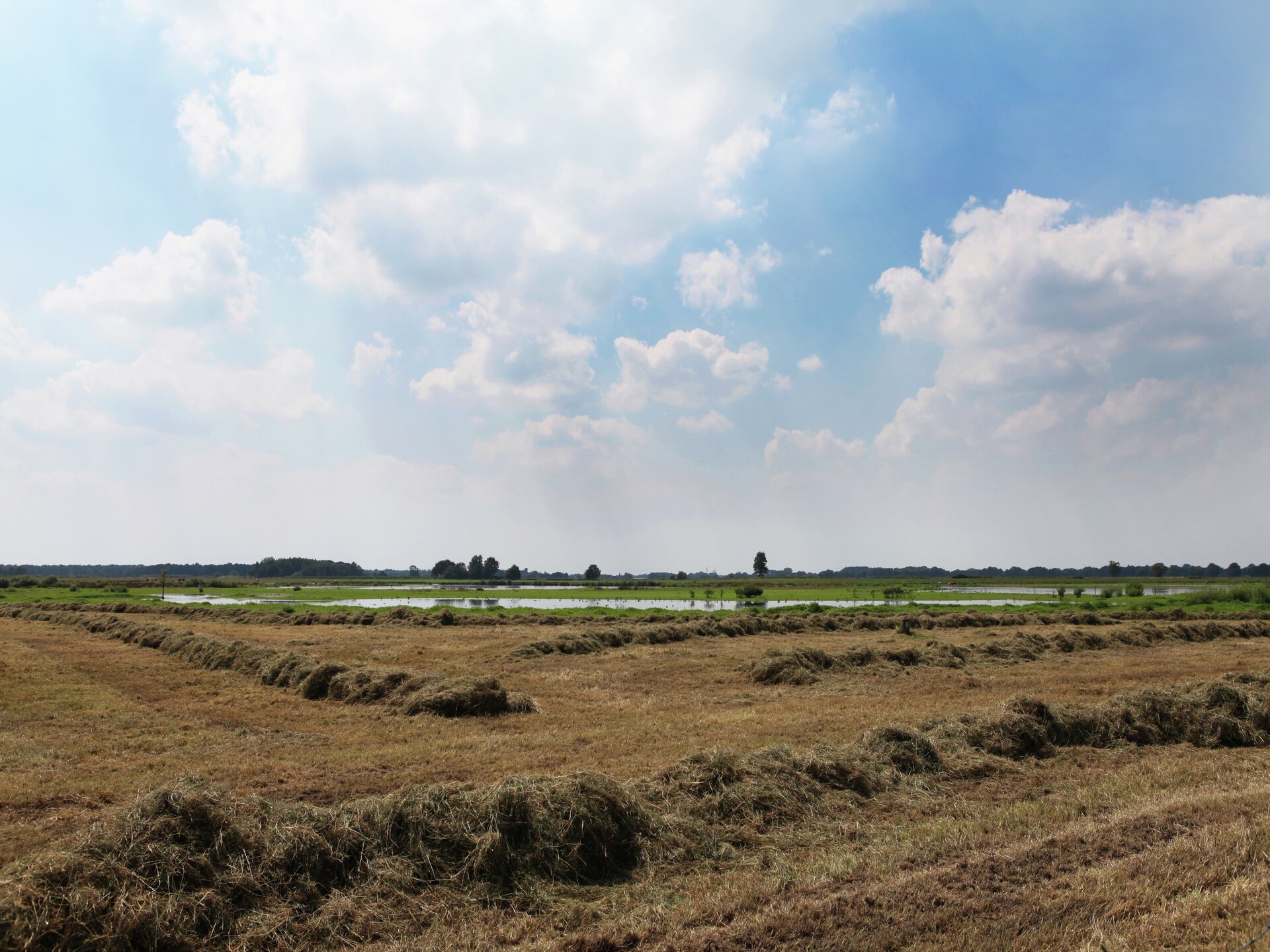Romantische boerderij De Maaijen: rust, natuur en open haard in Ulicoten - foto 25