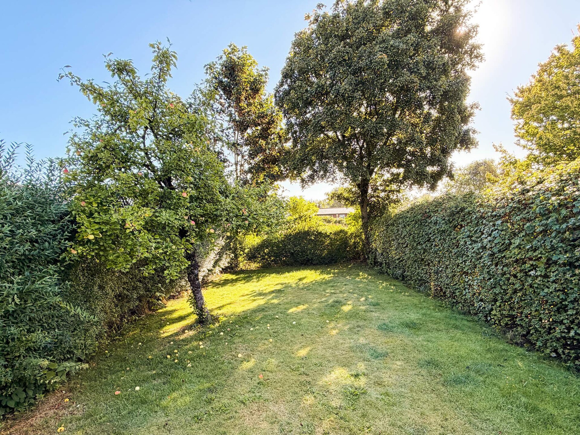 66126 - foto 3
