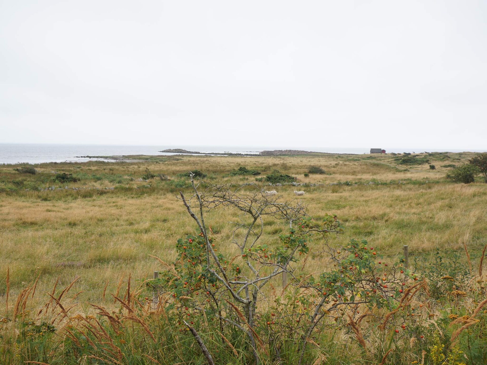 66395 - foto 22