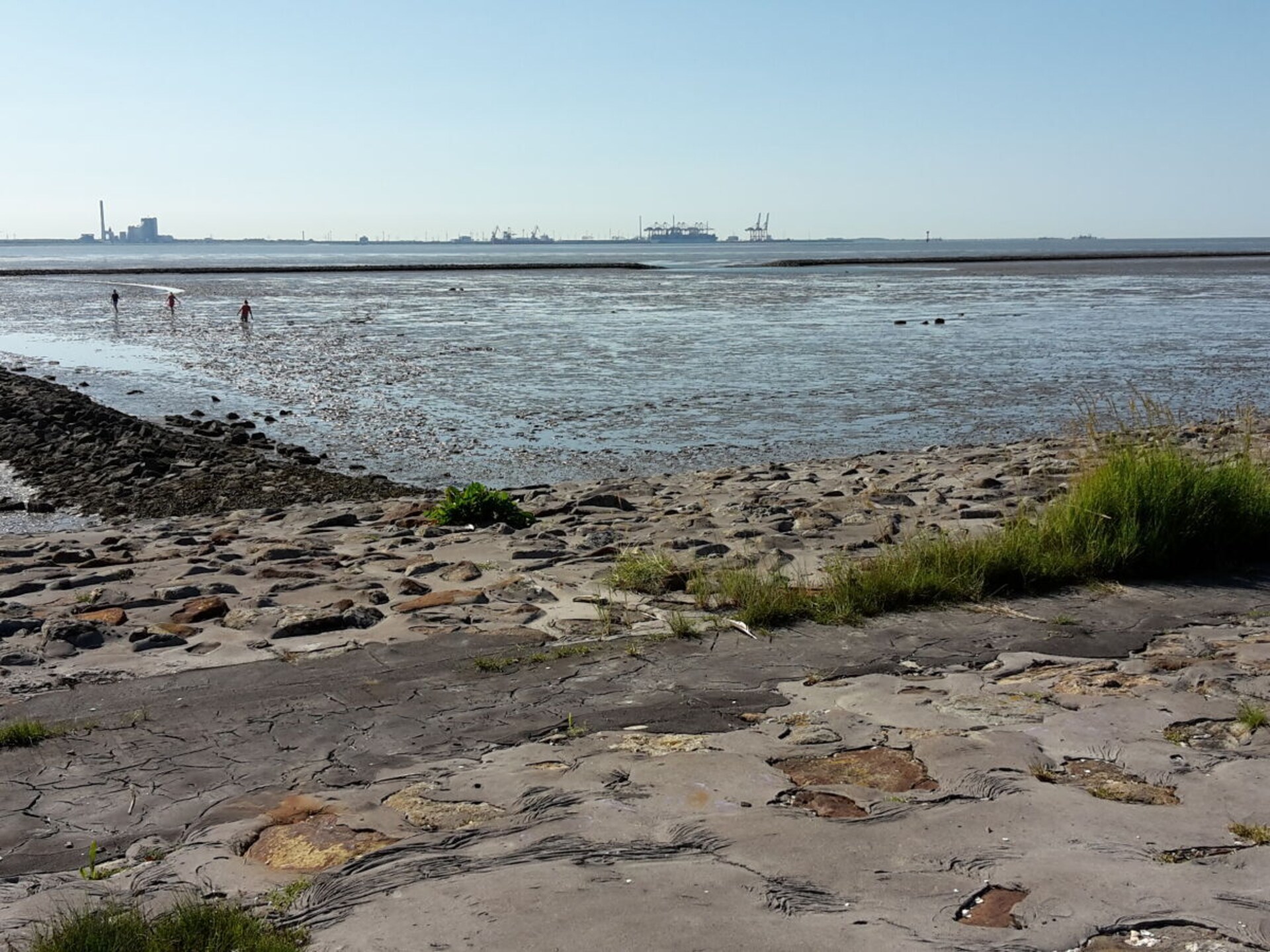 422638 - foto 14
