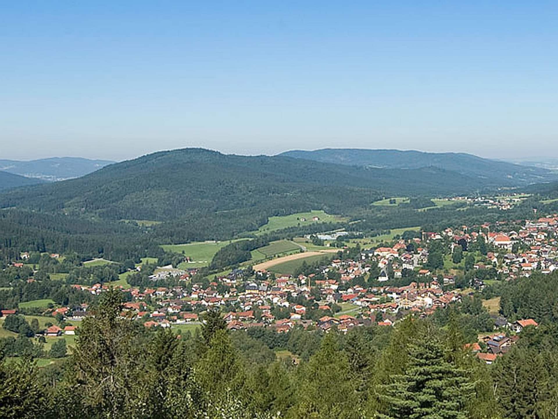 67388 - foto 19