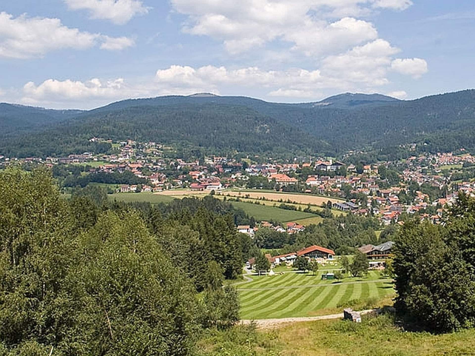 67389 - foto 16