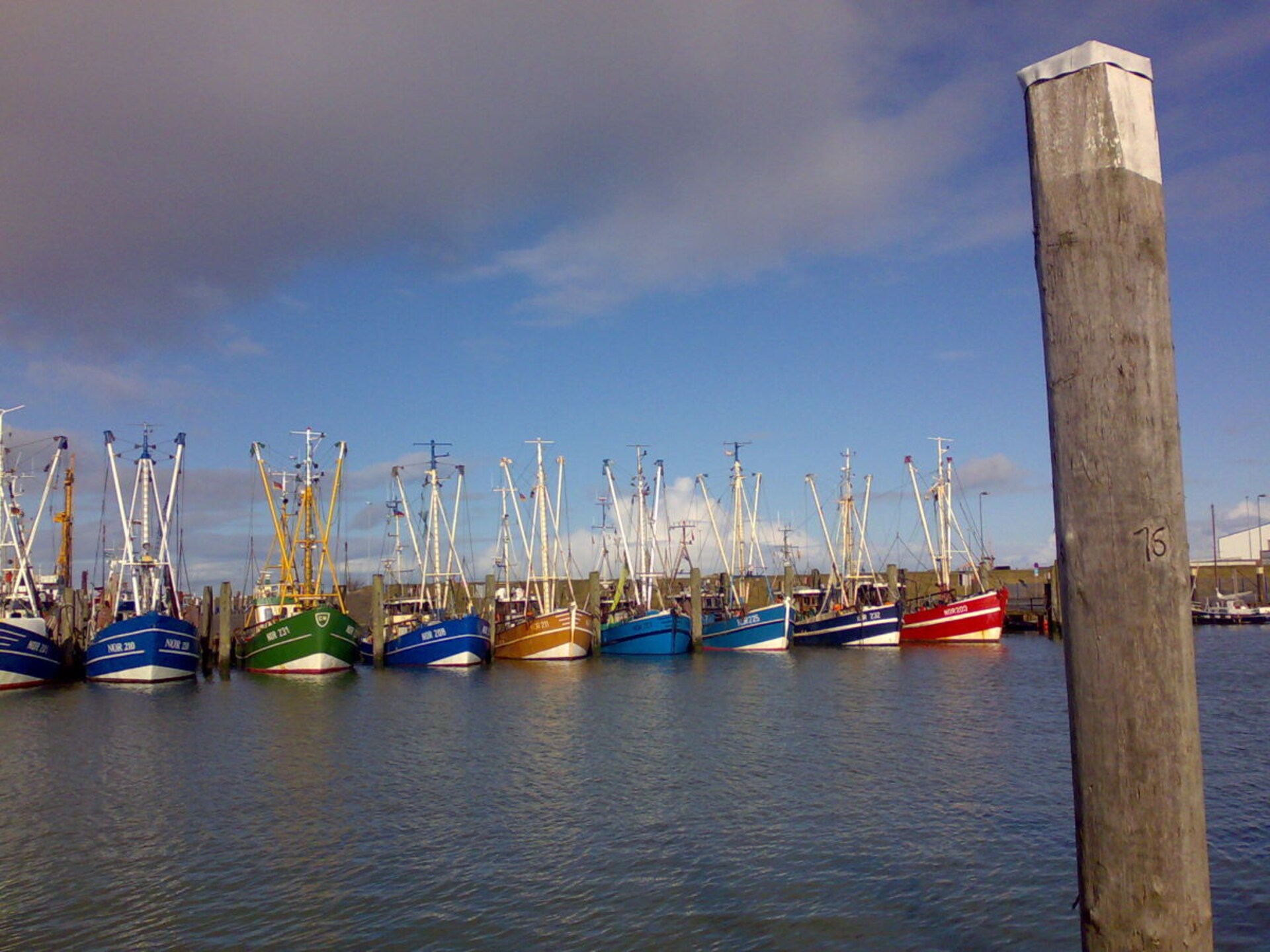 115964 - foto 22